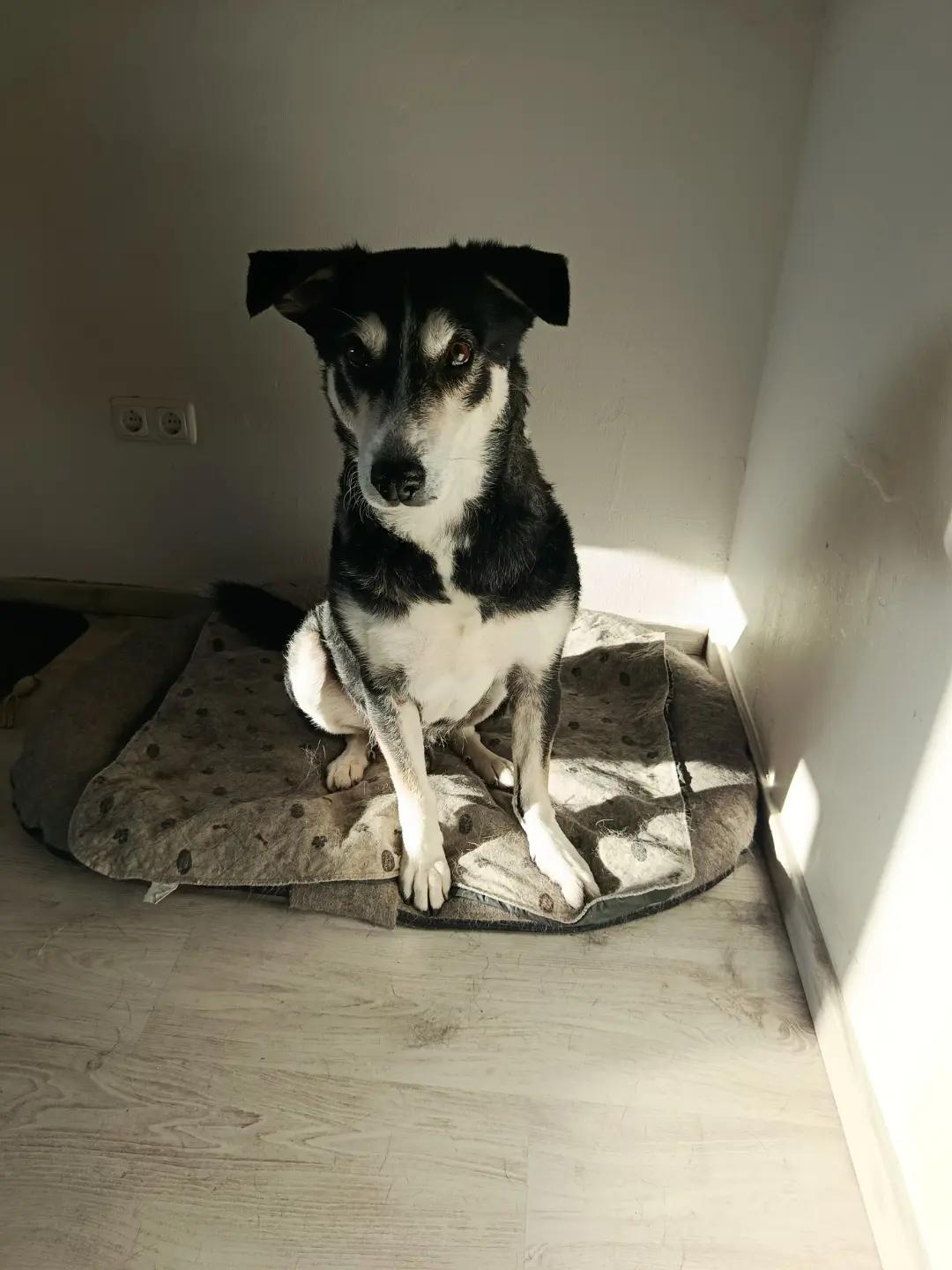 @Ride & Rescue