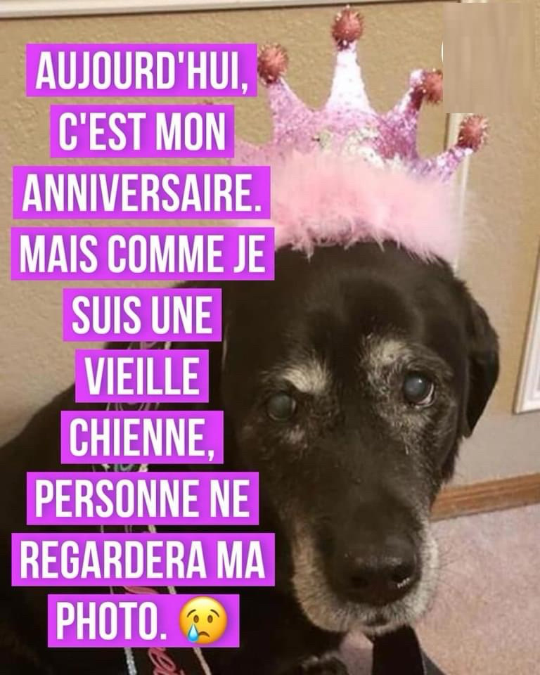 @Martine Levasseur487