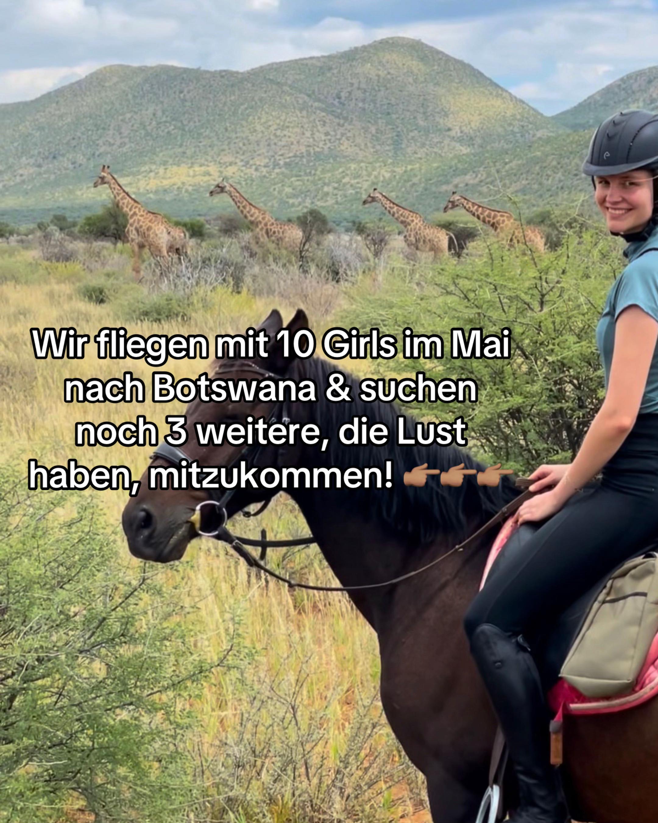 @Hoof & Travel 🐴🌍🐘
