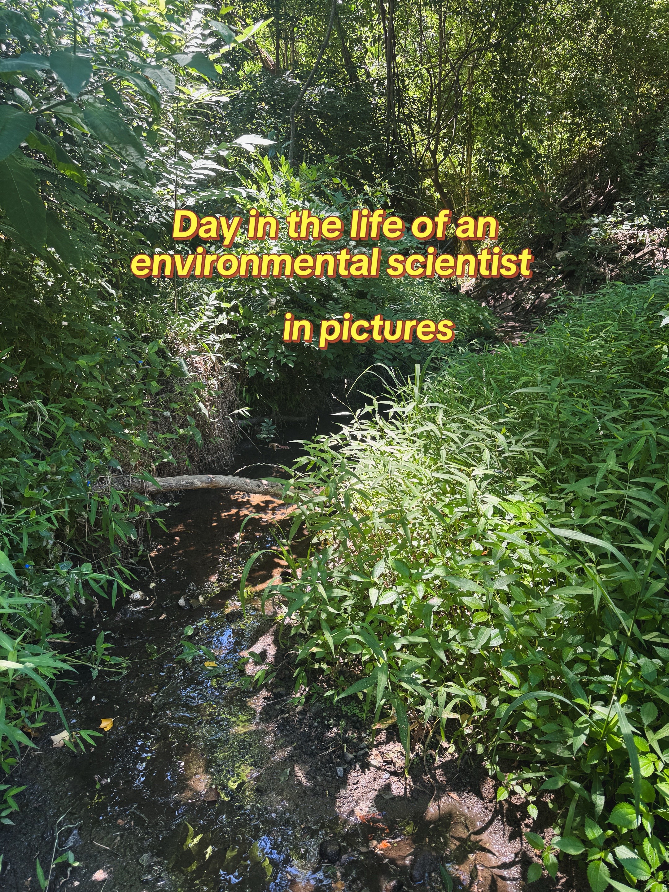 @Hayley 🌿🦇🌻