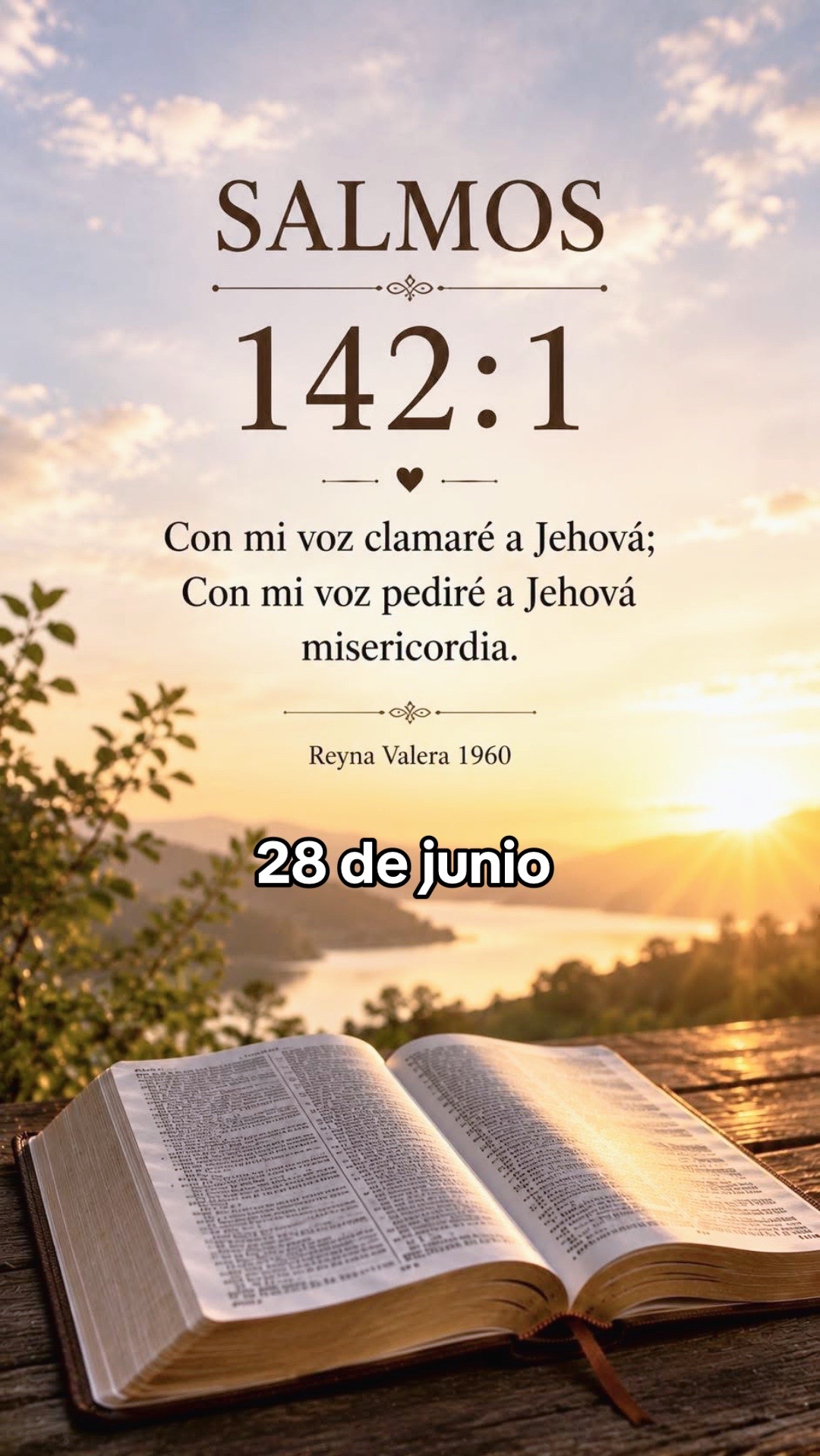 @8luisplaza8