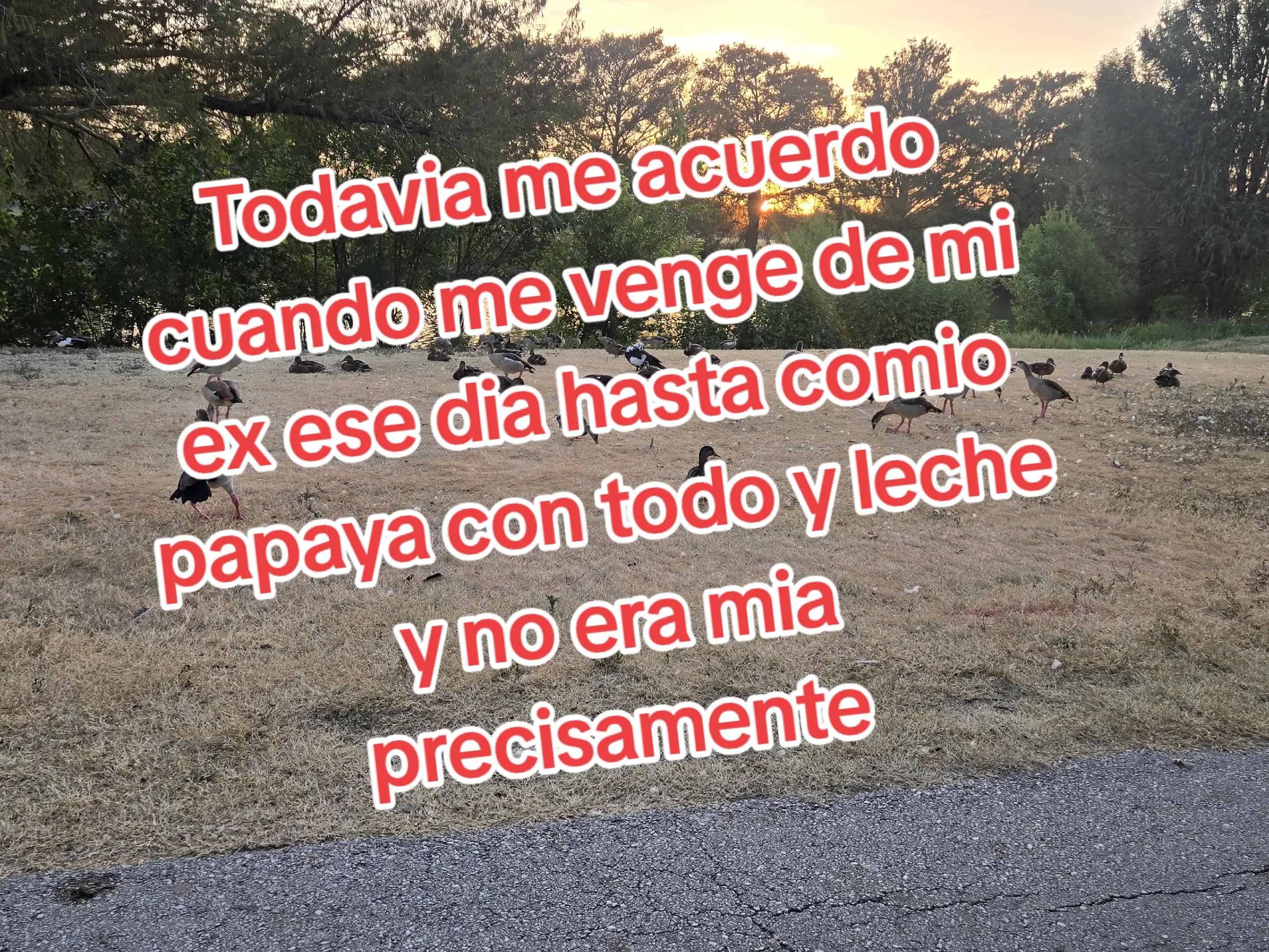 @Nathaly