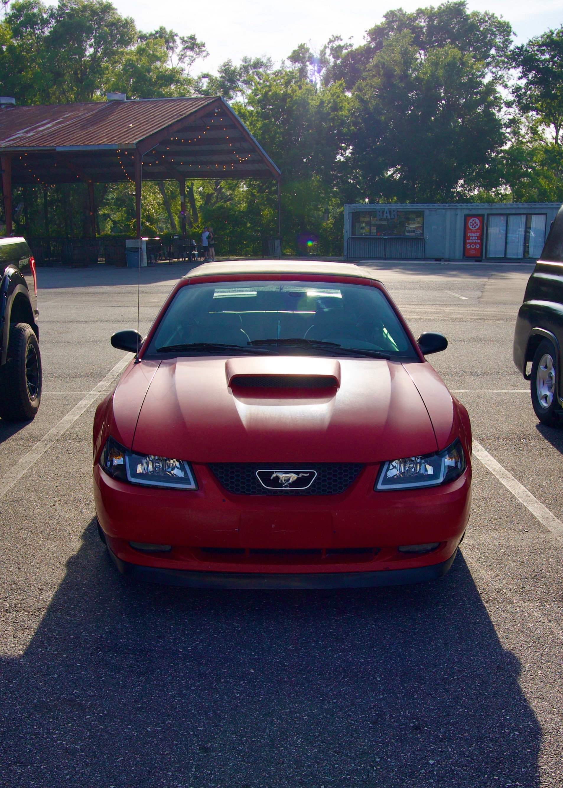@that.new.edgemustang