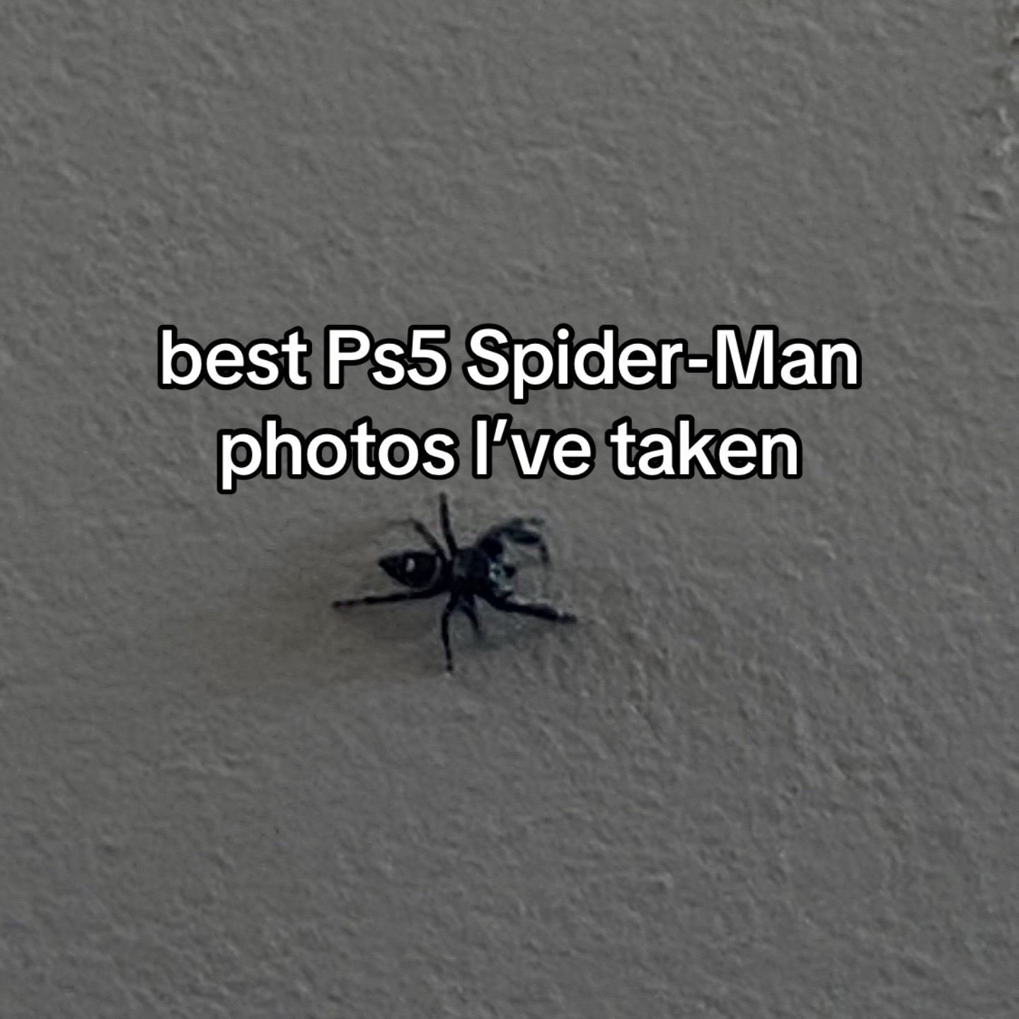 @bradster🕸️