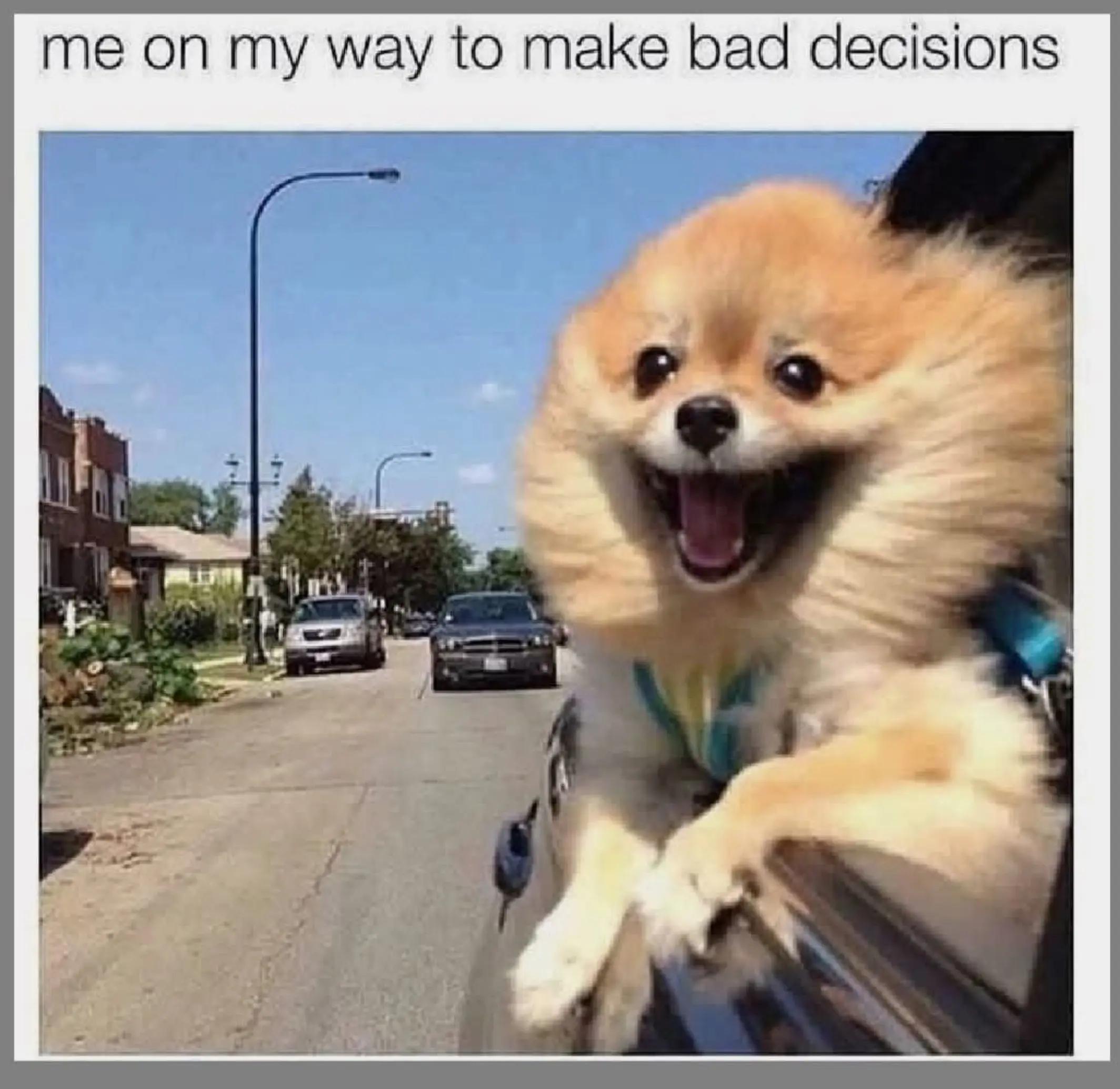 @Janice Ball
