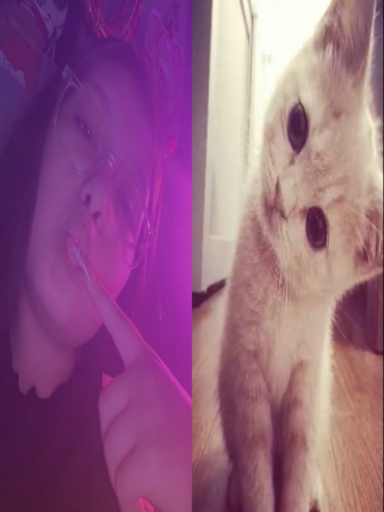 @๏ธ