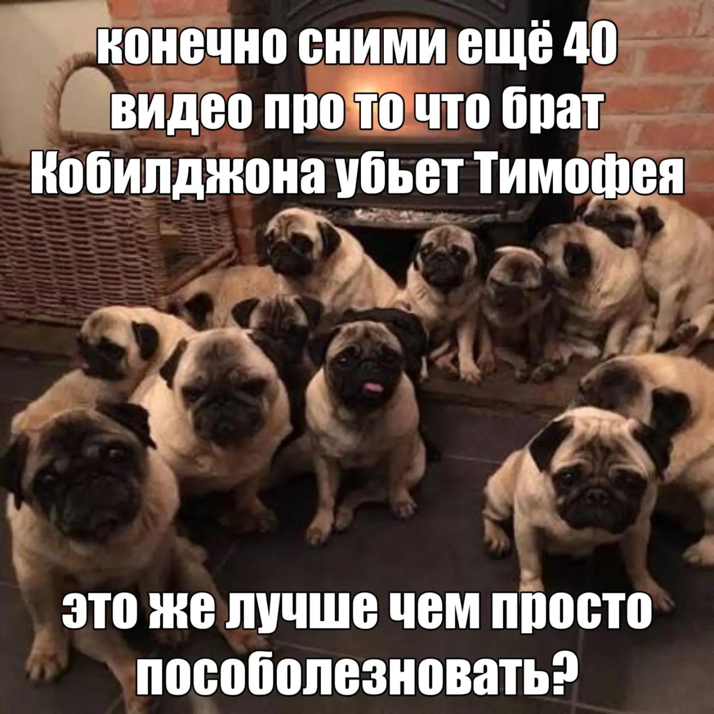@теребонькер/tg: kuzbasswag