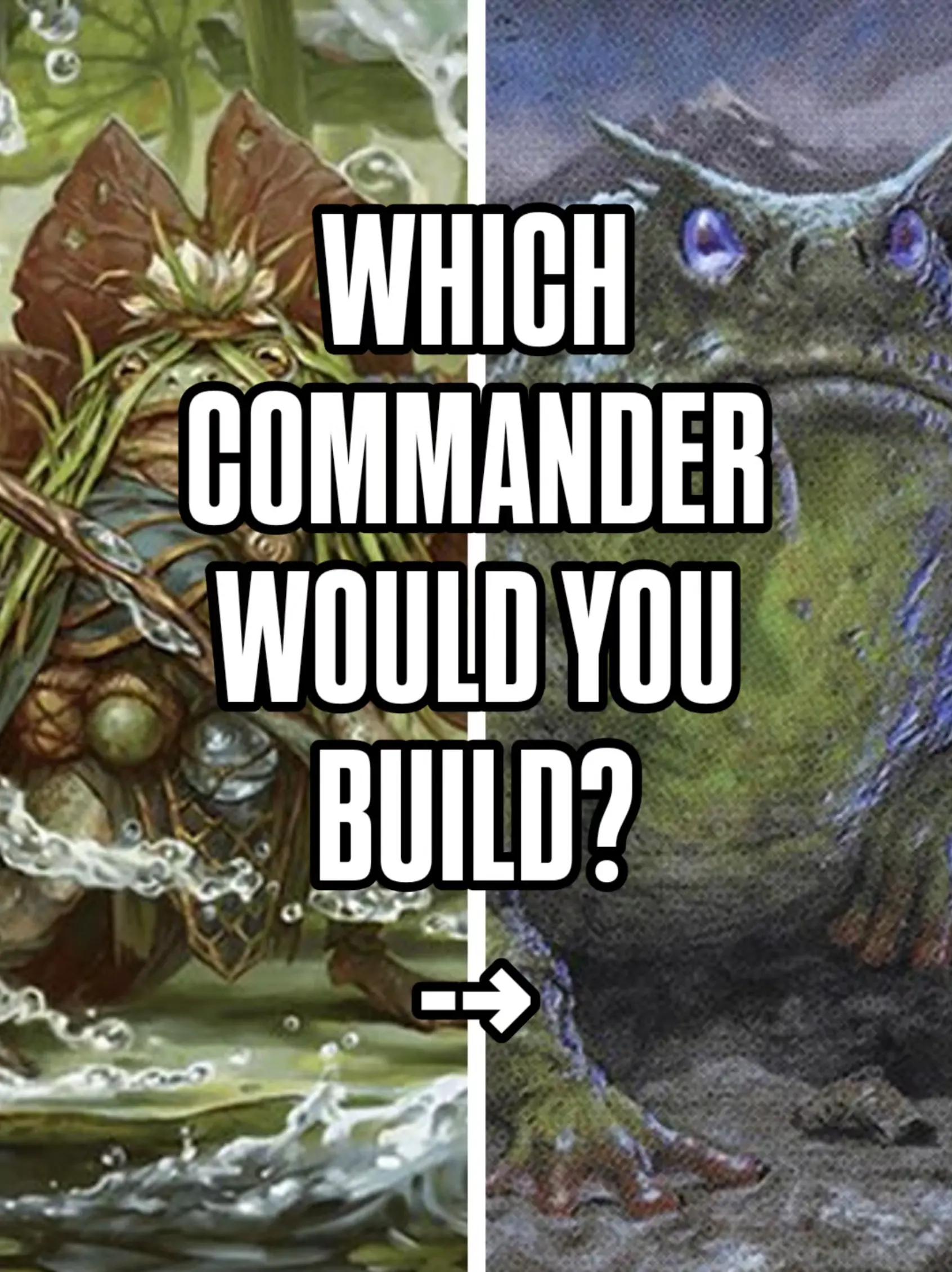 @That TCG Guy