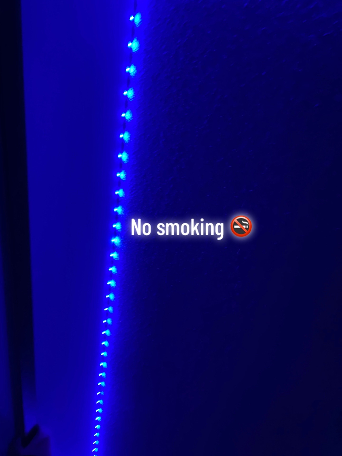 @Ally🫢