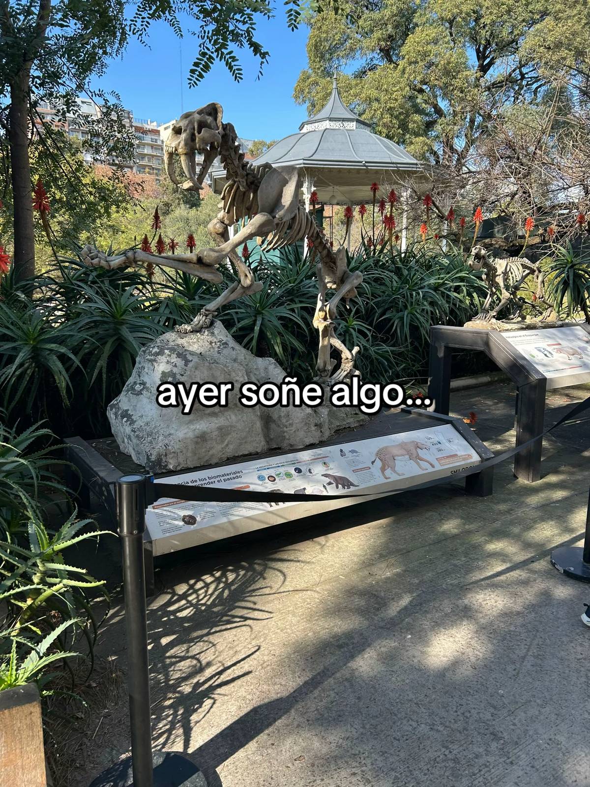 @its.gregory