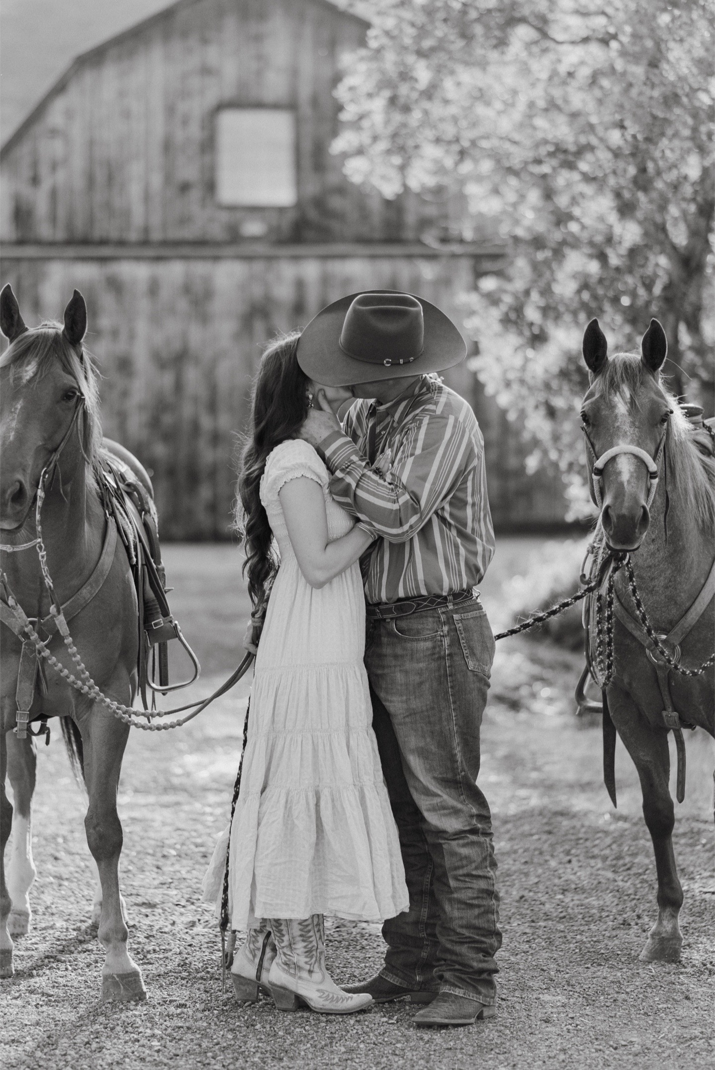 @Laini Edwards | Lone Star Lane