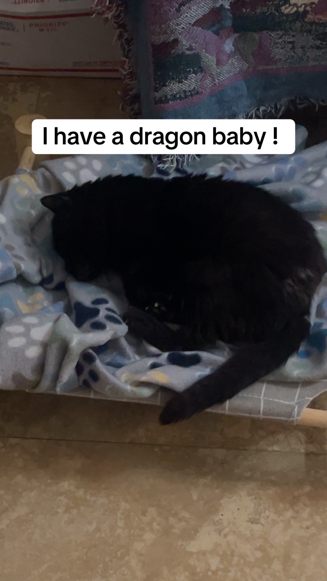 @Meow Meow