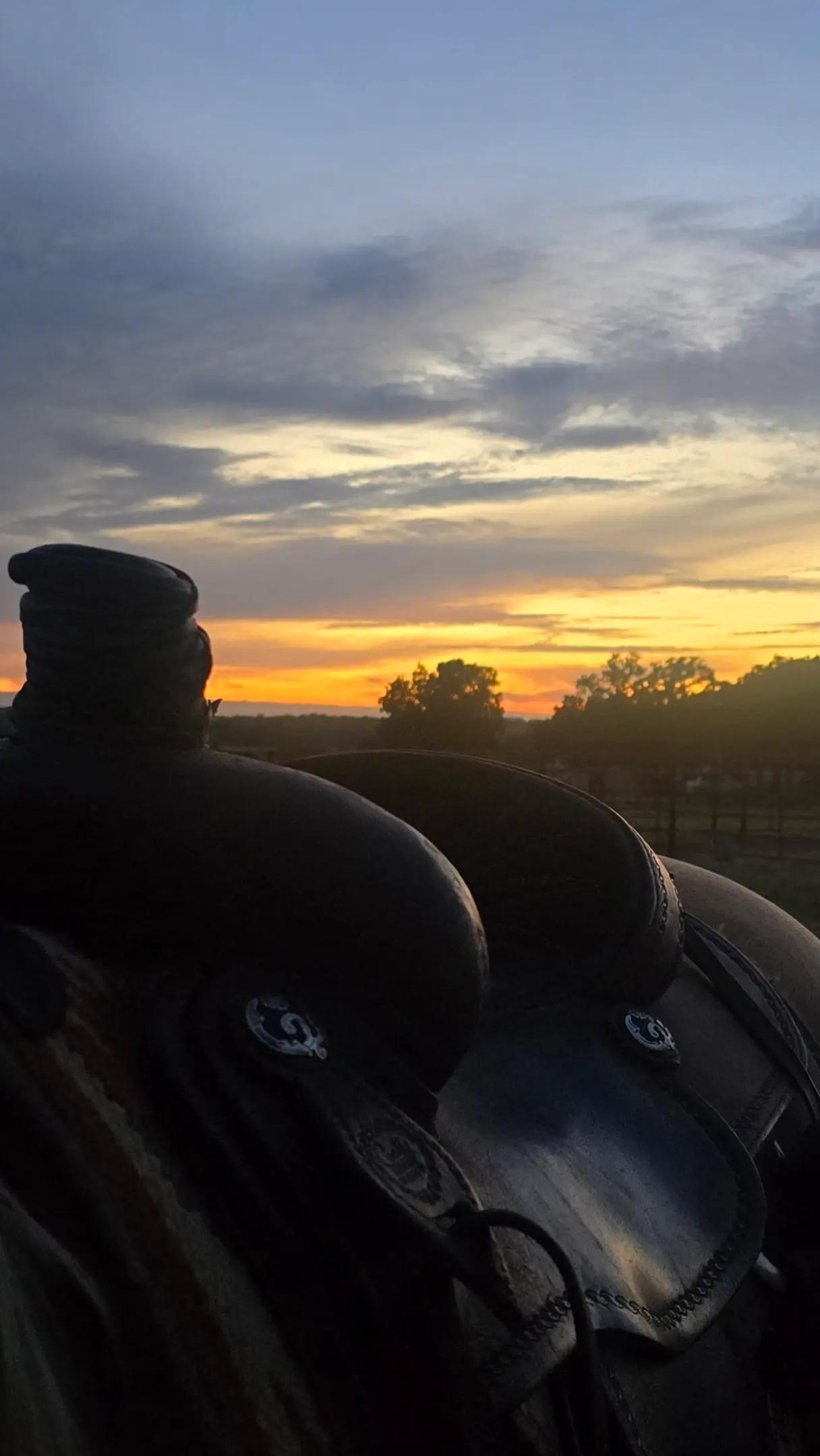 @UntamedTexas