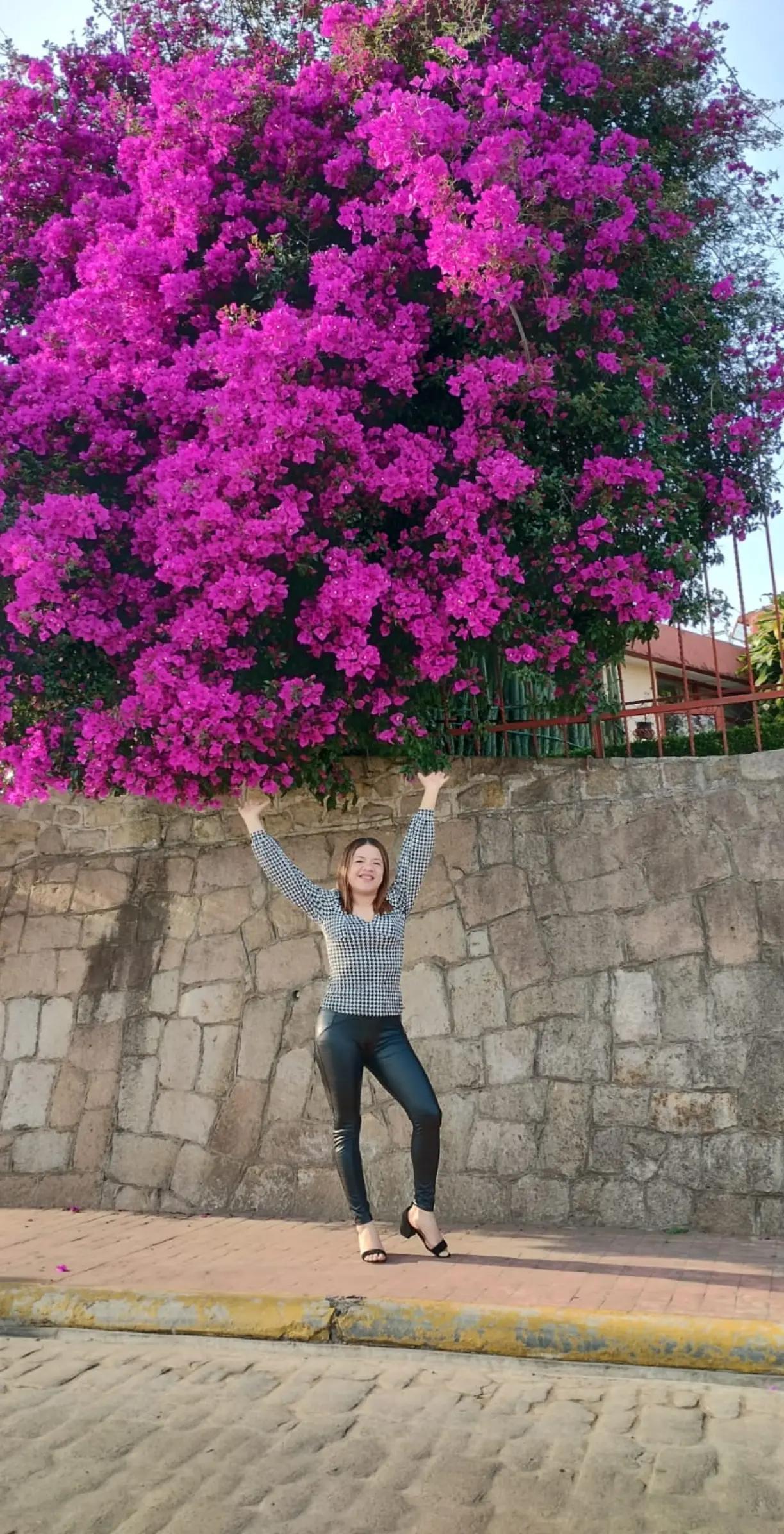 @Sanchez Marybel