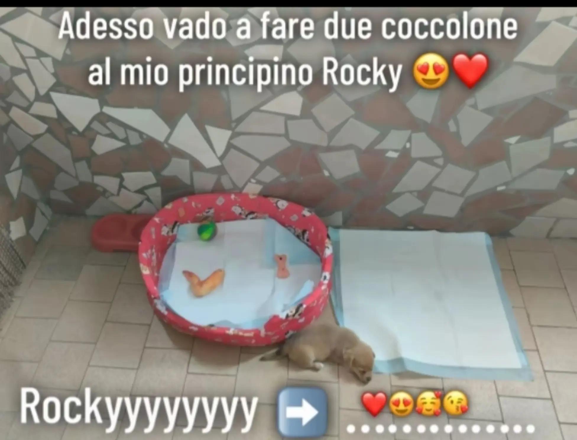 @STRADO e Melania❣️💍🔗