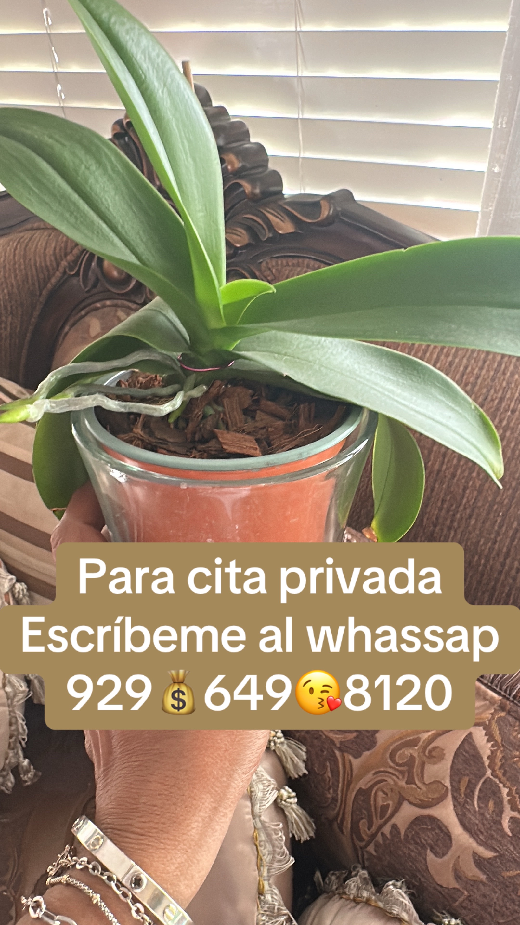 @🪶Todologa.tarot🪶🧚🏿&zwj;♀️🍀