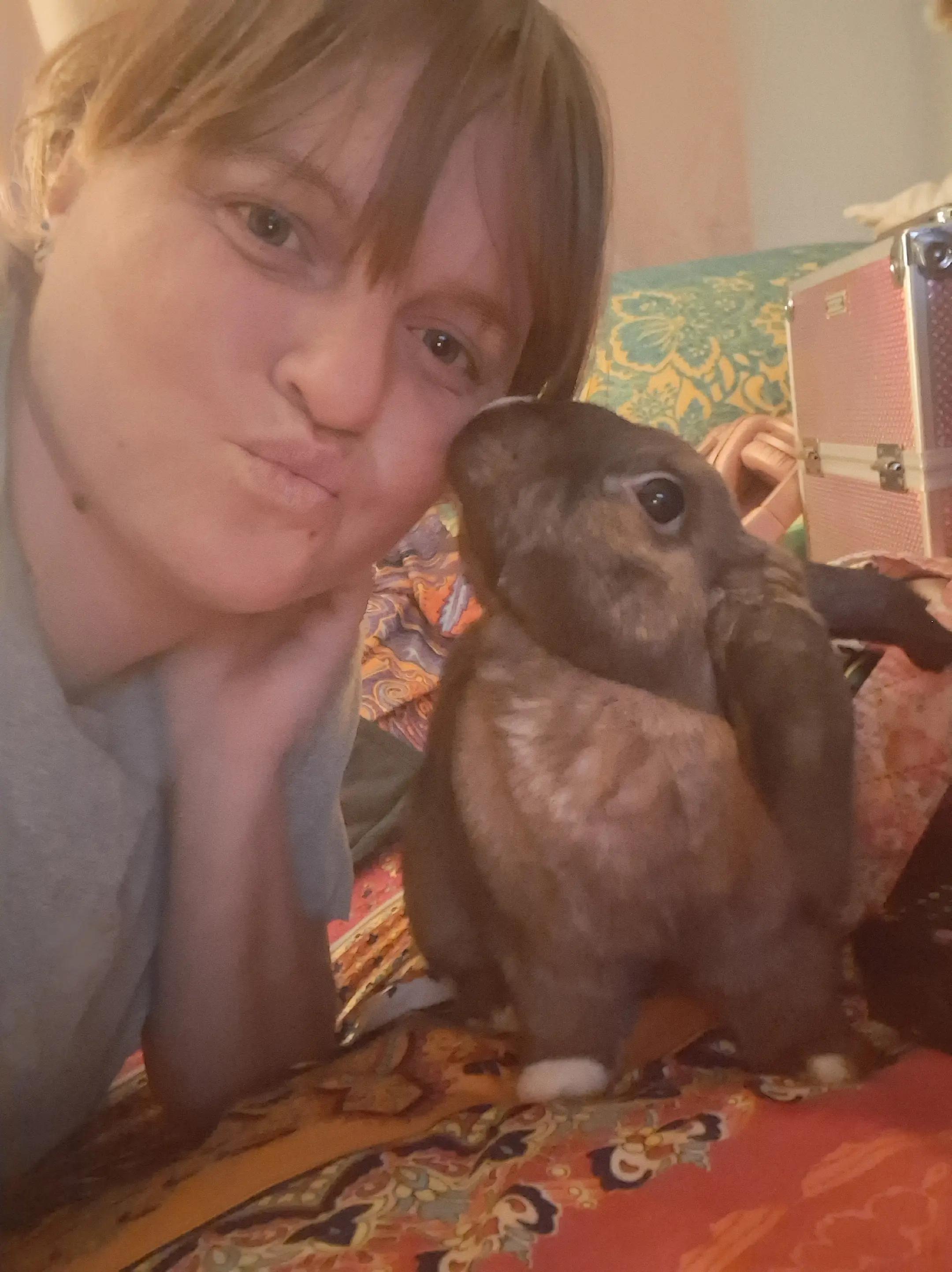 @kaitlinsillyrabbit