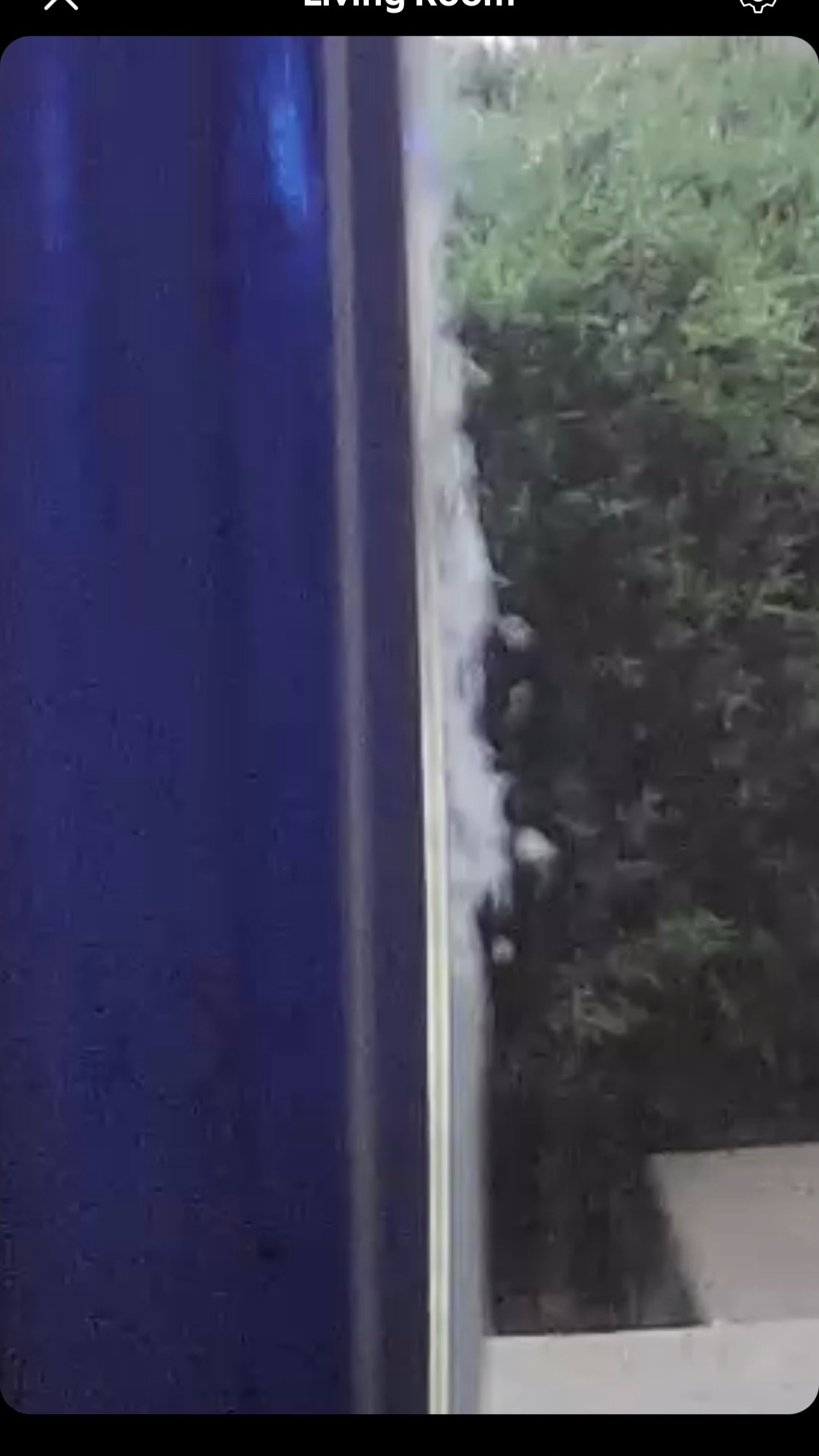 @disneyautismmom