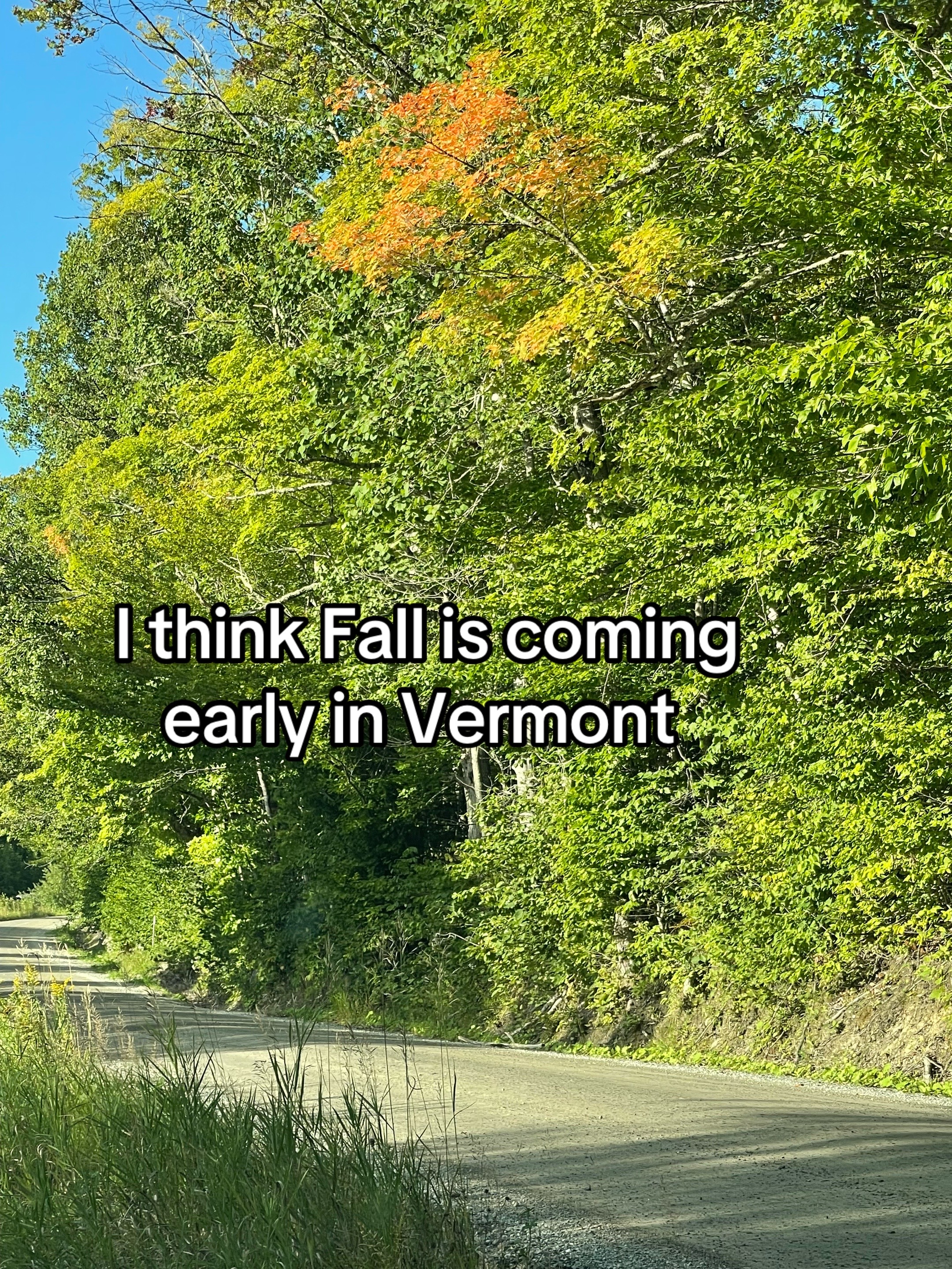 @LivingLifeinthe802