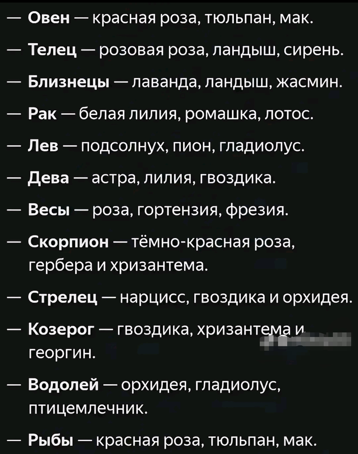 @minni