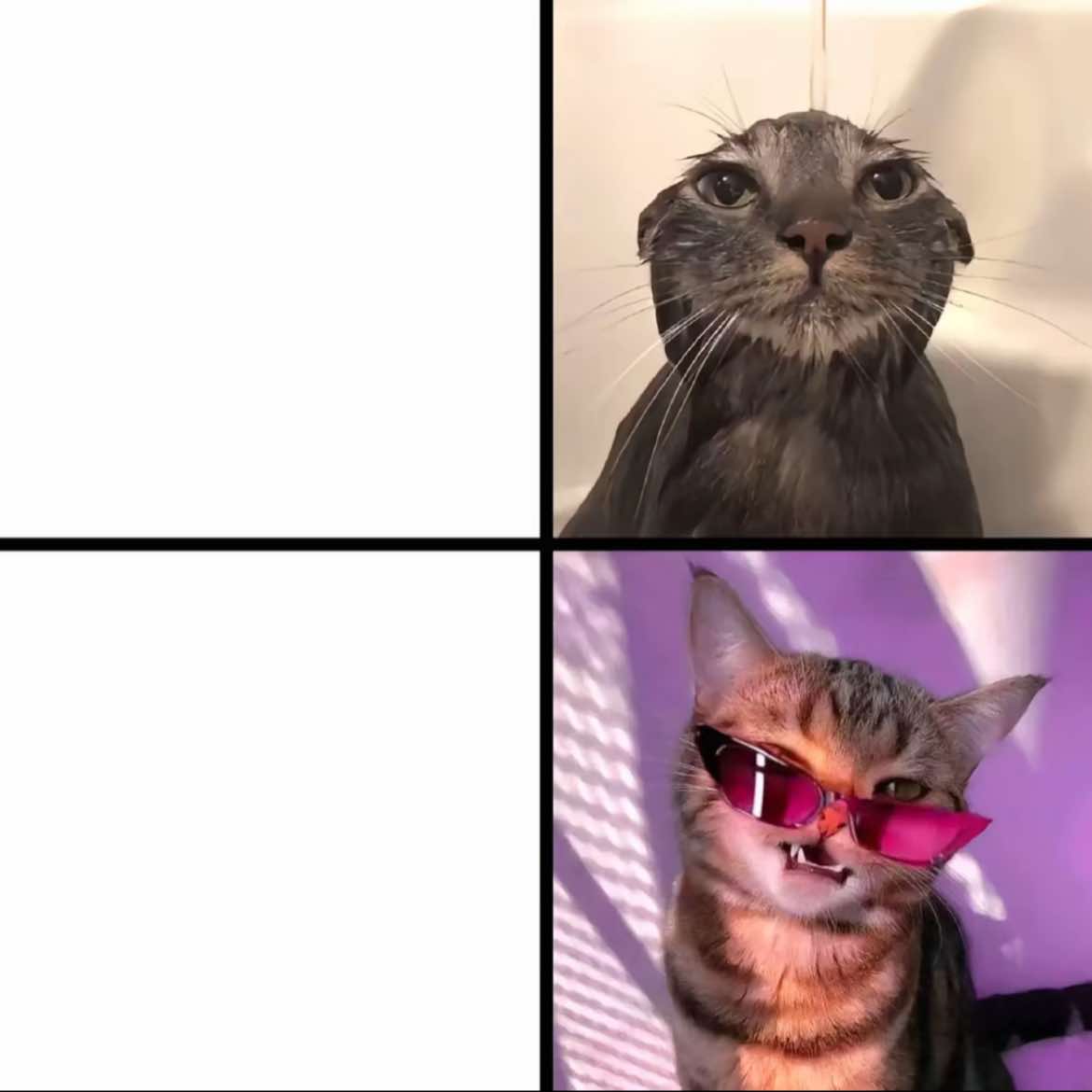 @floppaFF2