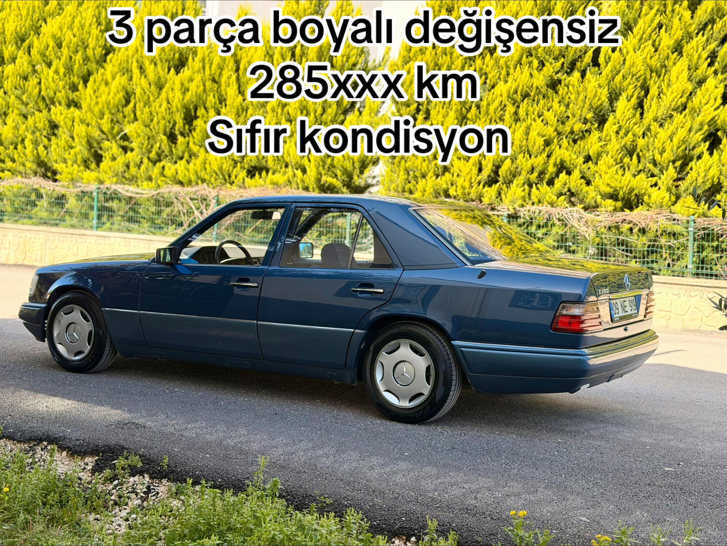 @mustafa.buyukarslan