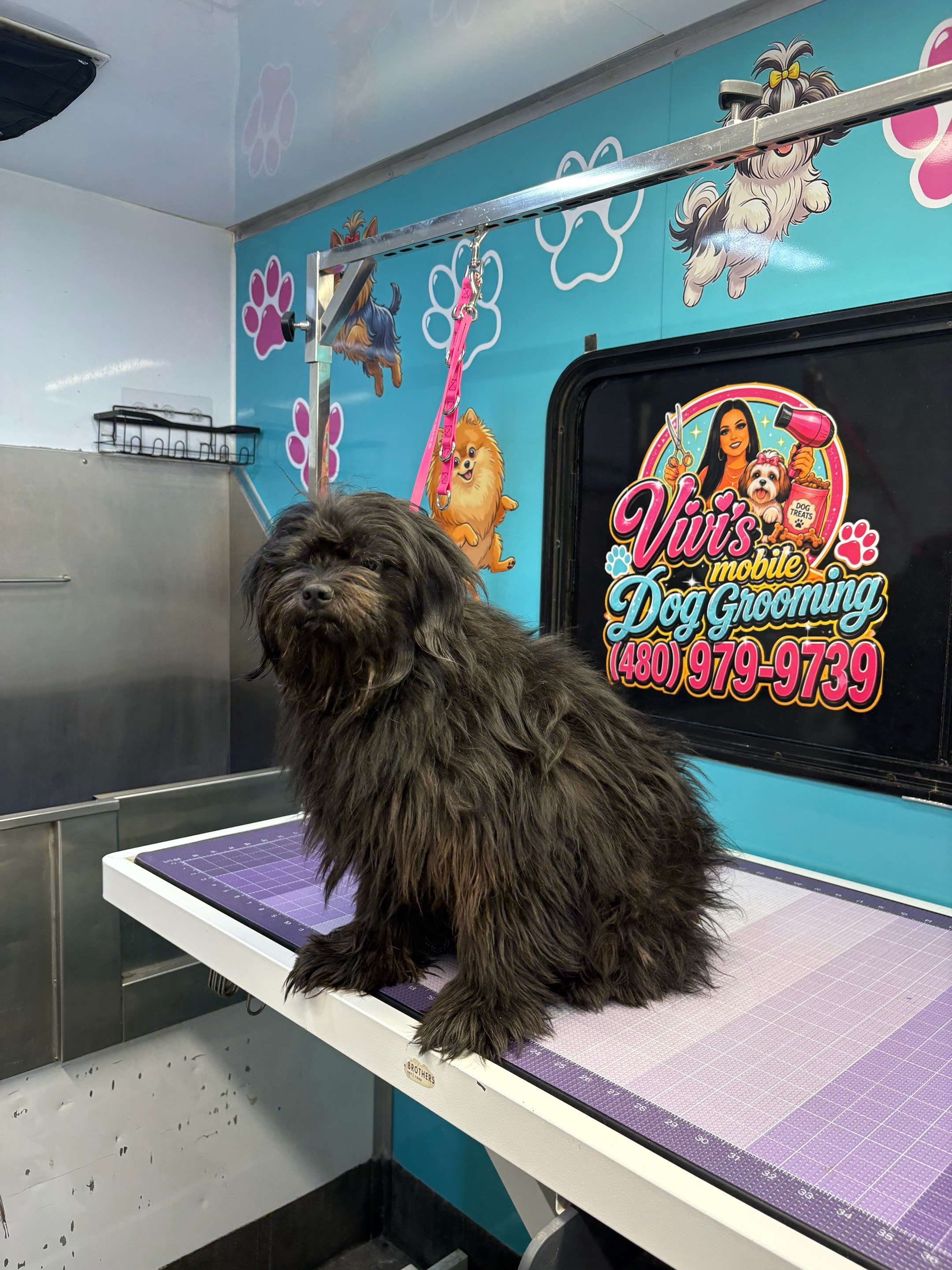 @Vivismobiledoggrooming