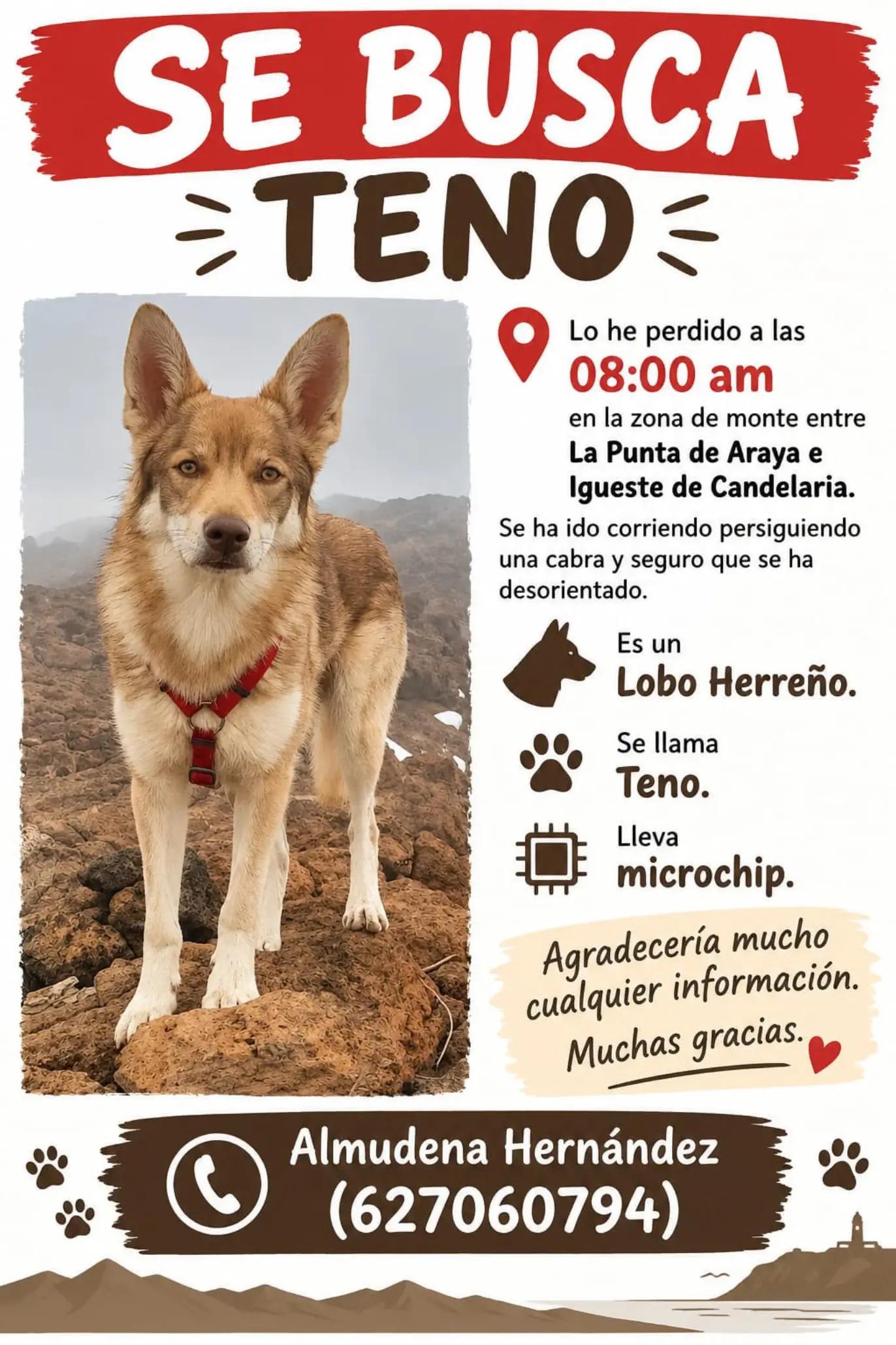 @Tenerife Plus  TV