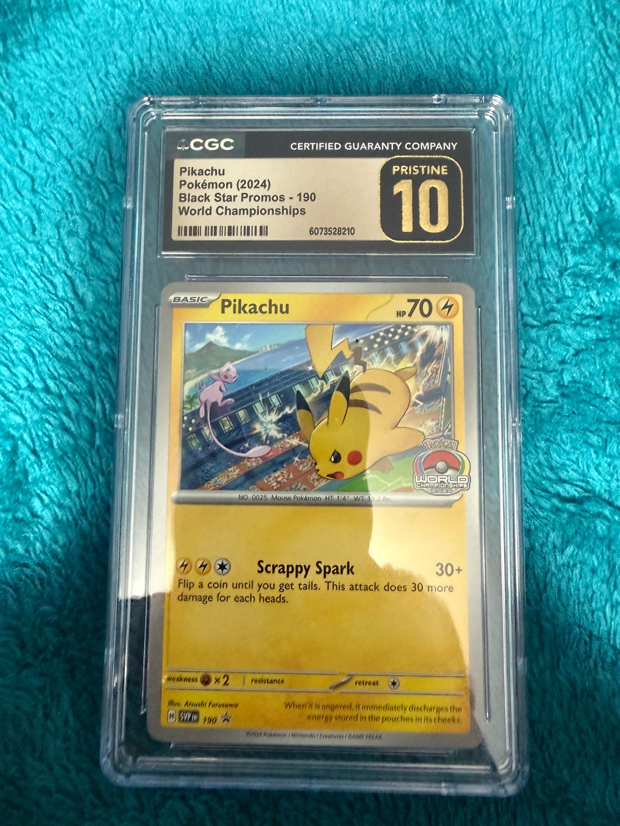 @elcompa_pokehunts