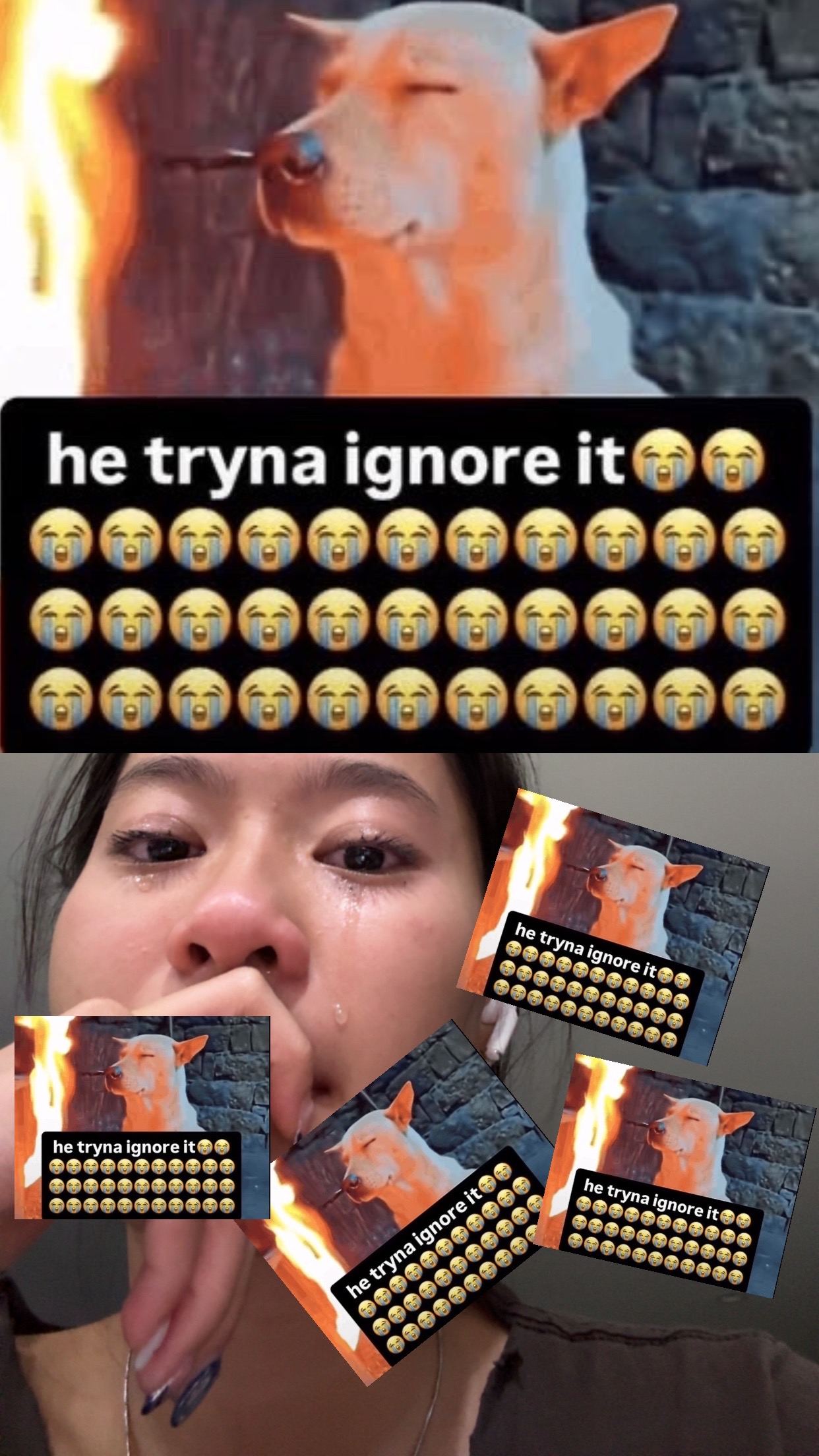 @🥟