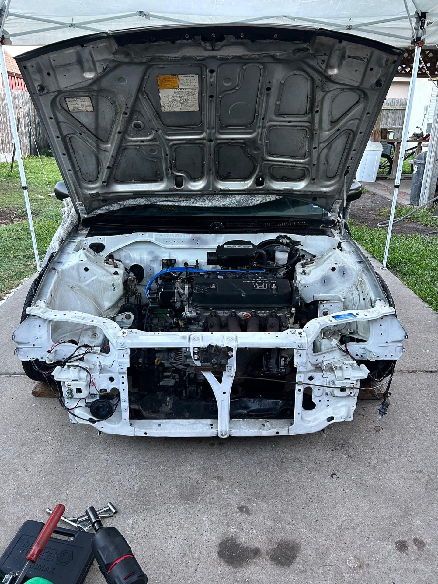 @txefsedan91
