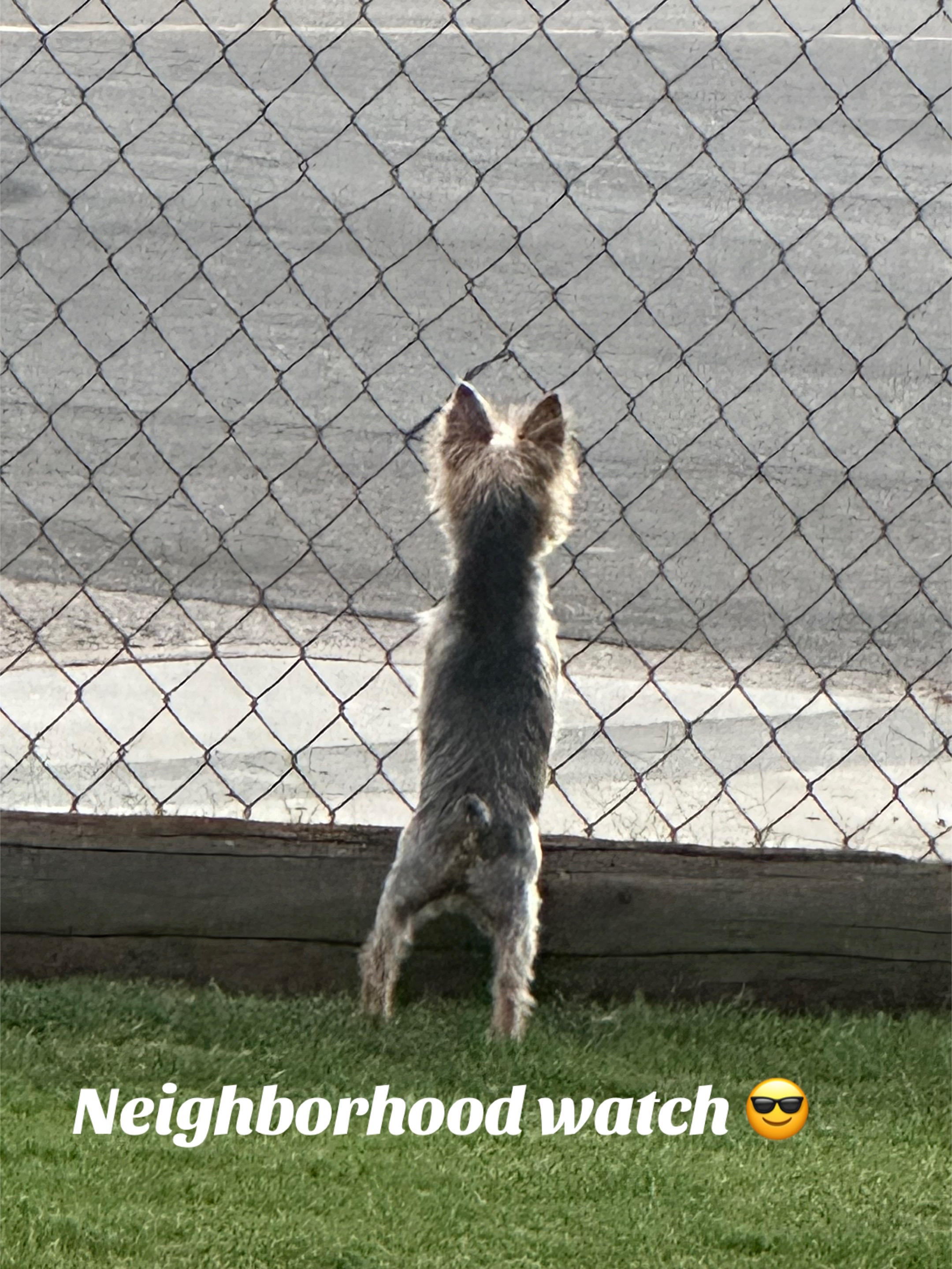 @Ginniegirl❤️