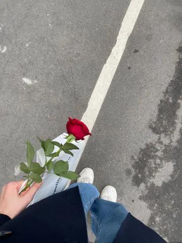 @آلمِࢪ࣪يو໑َنهۛ