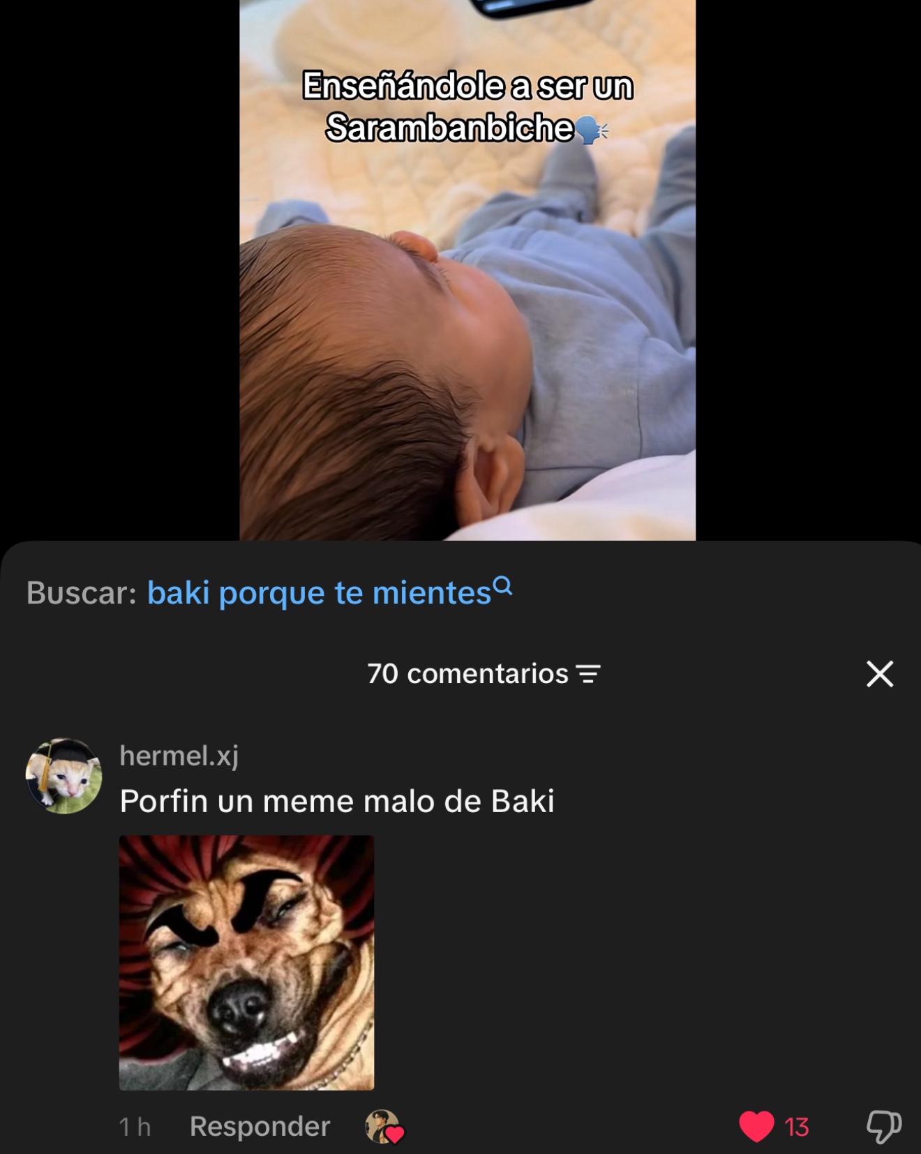 @️hermel.xj