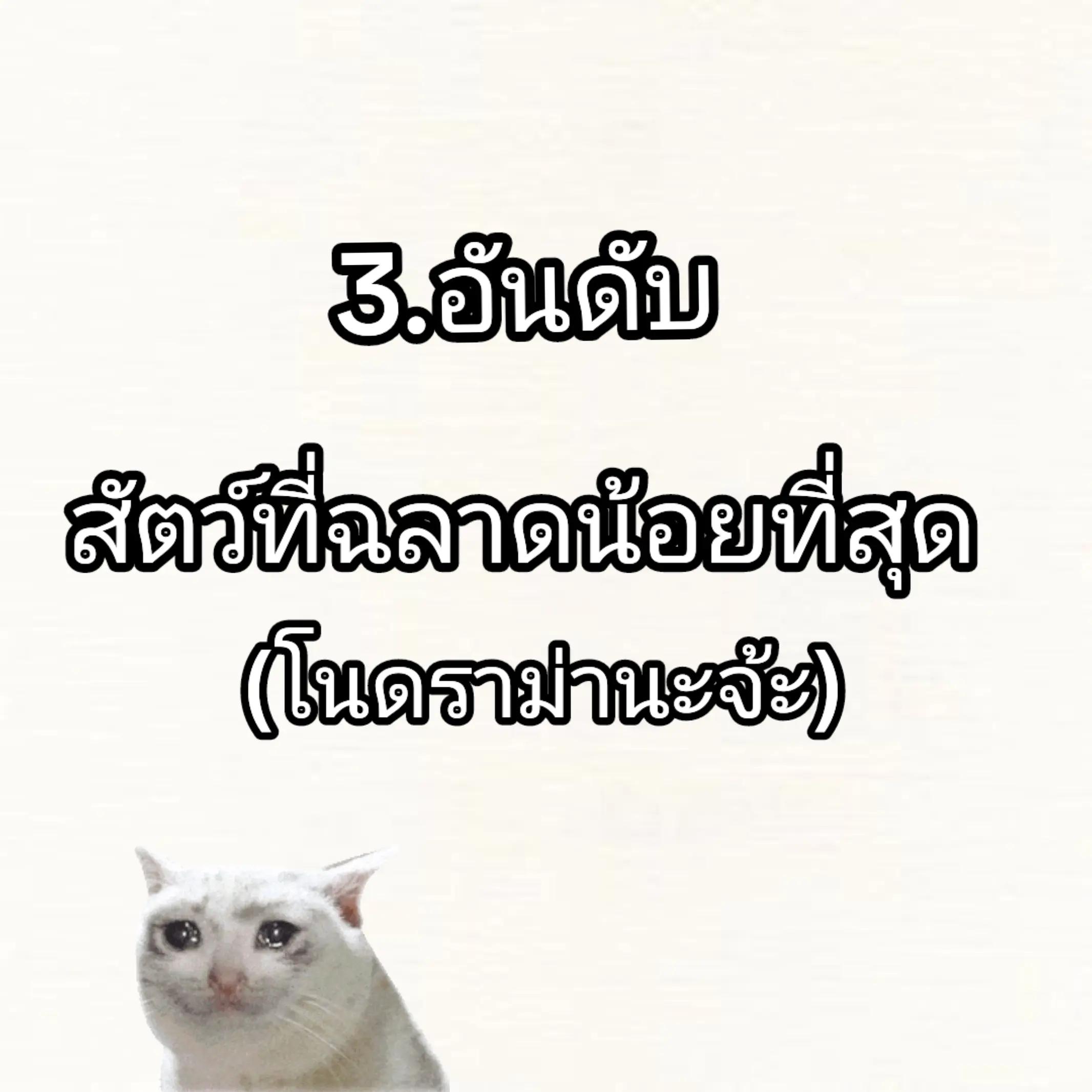 @ลุงกวาง👁️🫦👁️💅