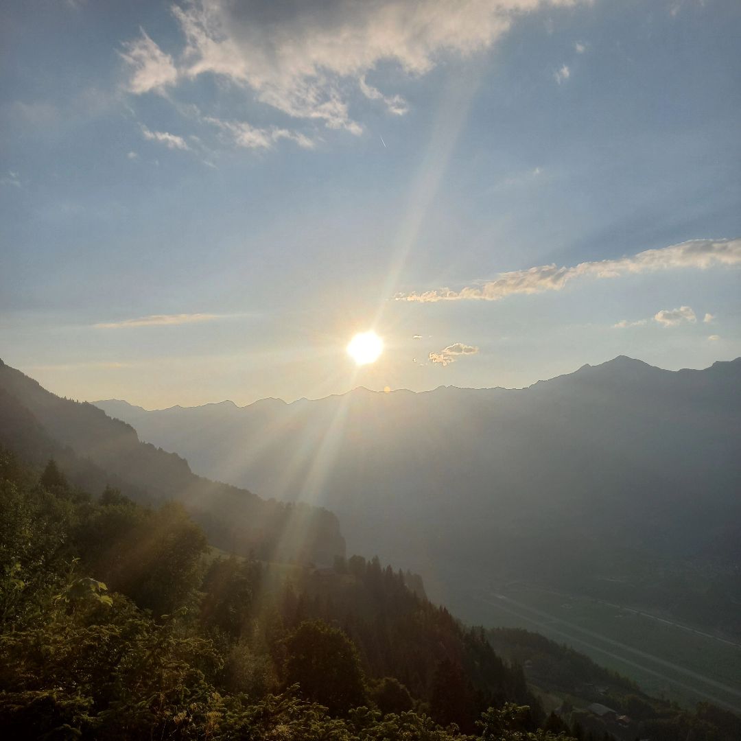 @timo moor