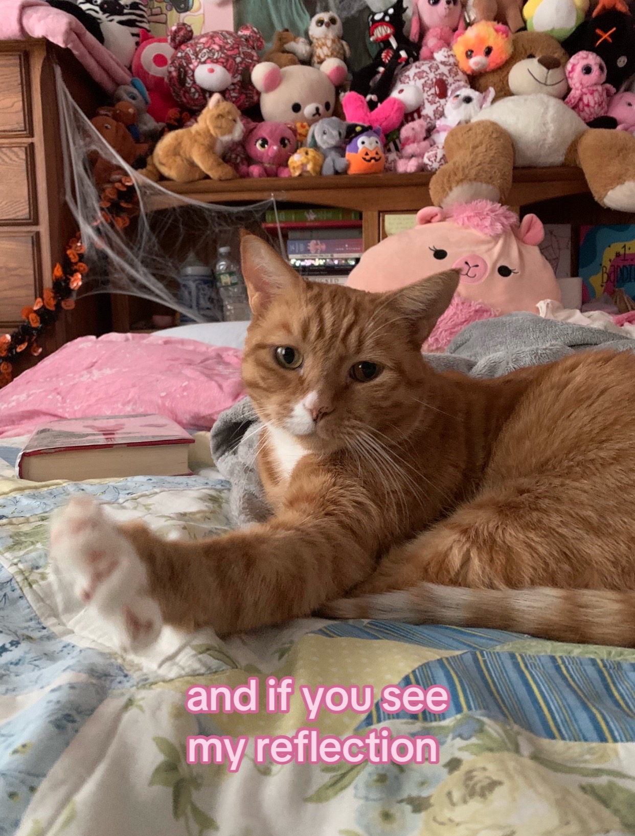 @frillmouse