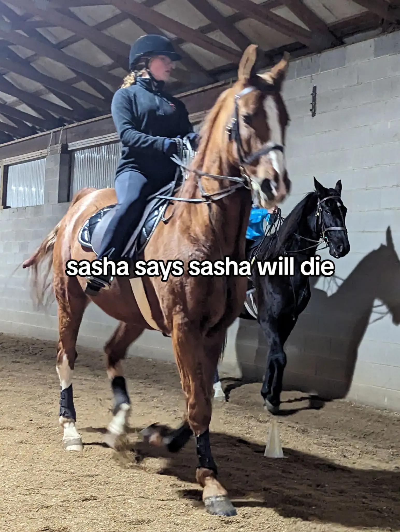 @saddleseat_4life