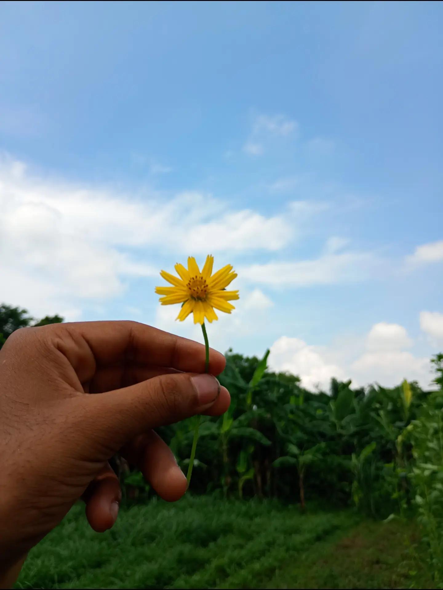 @🥰🥰 অন্তর ❤️💝