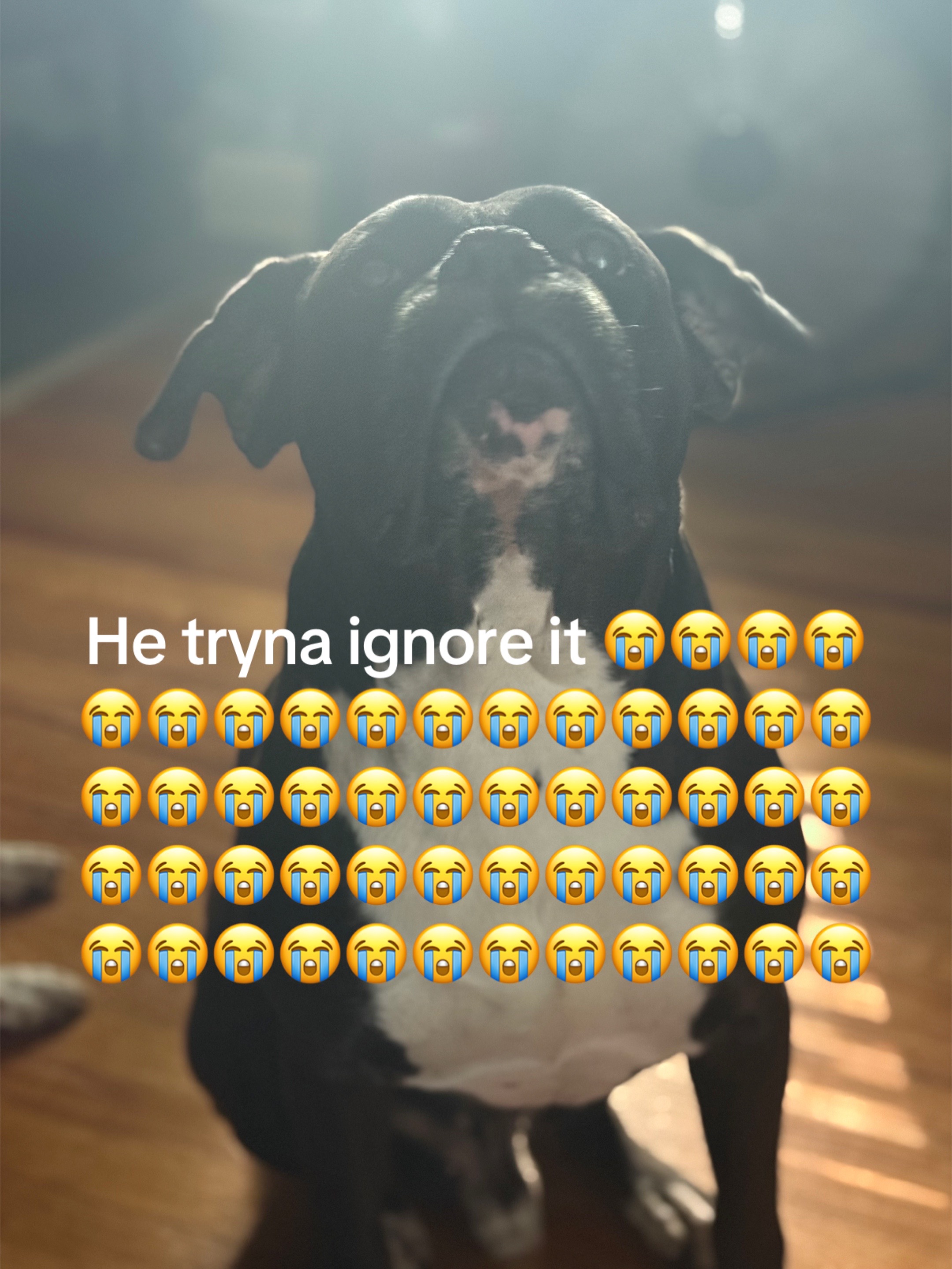 @Jack
