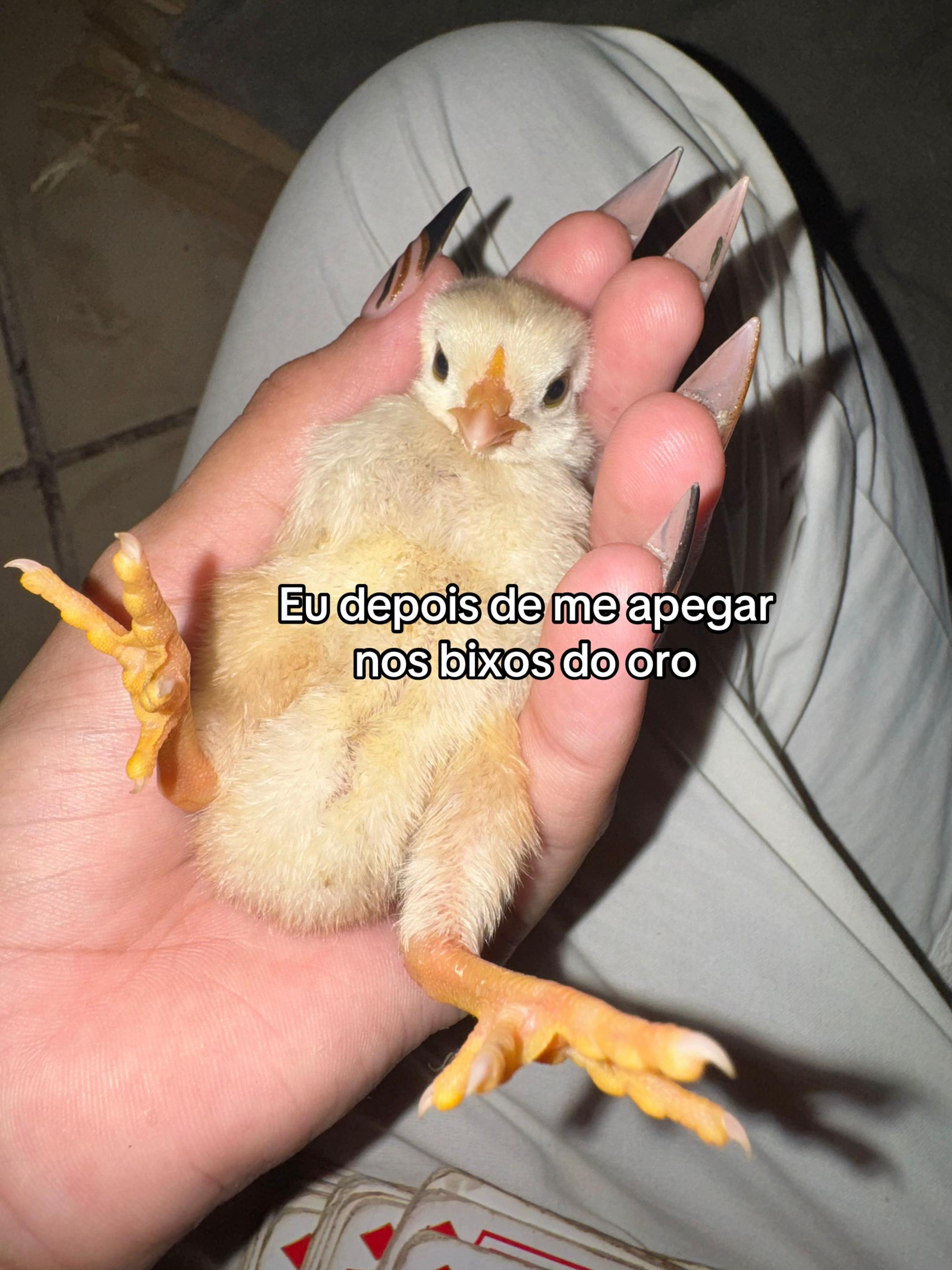 @Mya l Cartomante 🪭