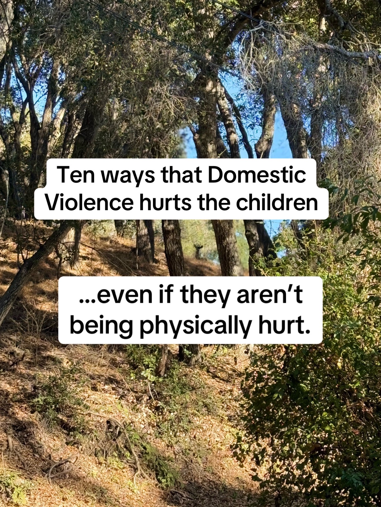 @RedwoodCenterforChildren