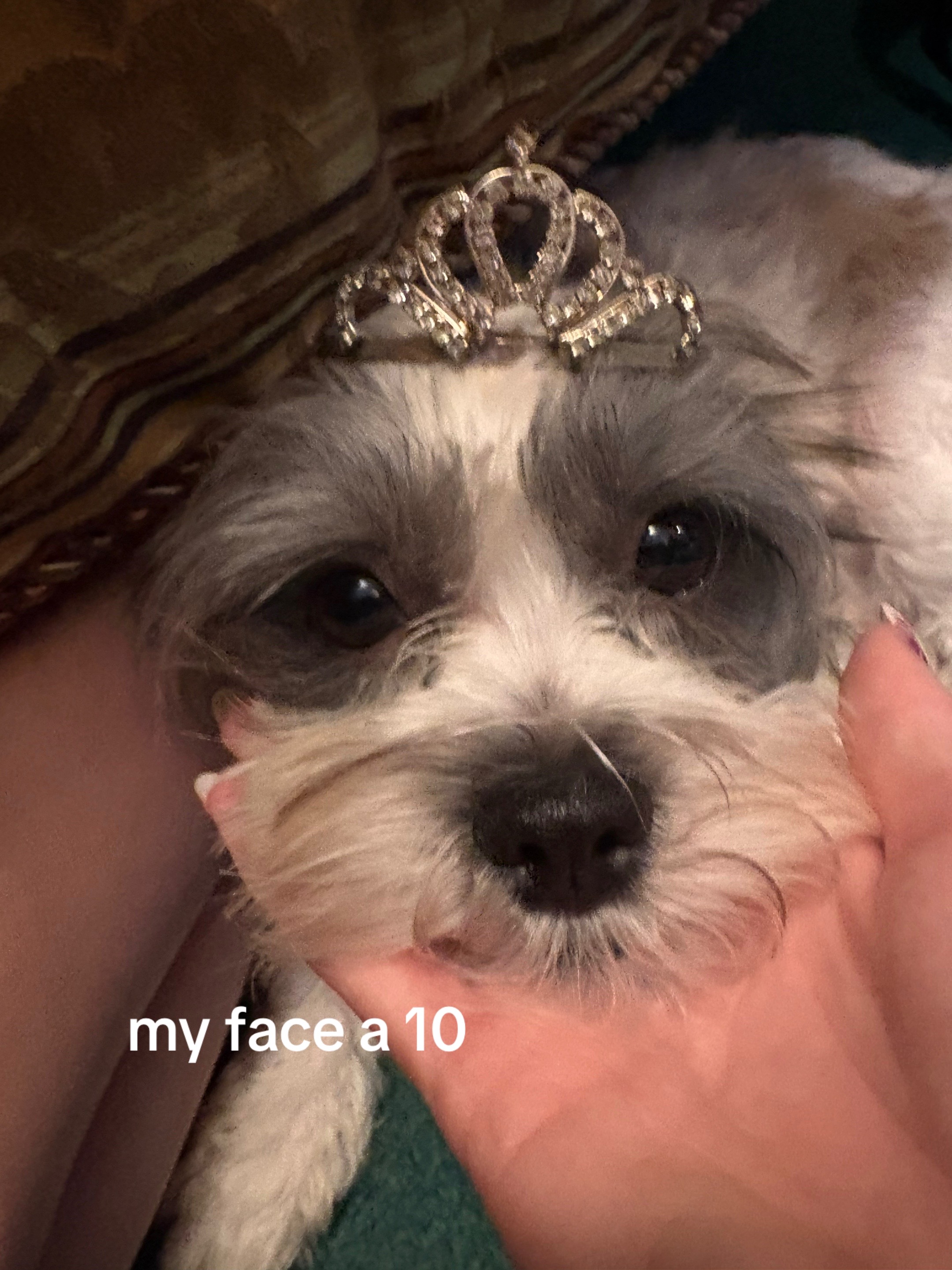 @destinee