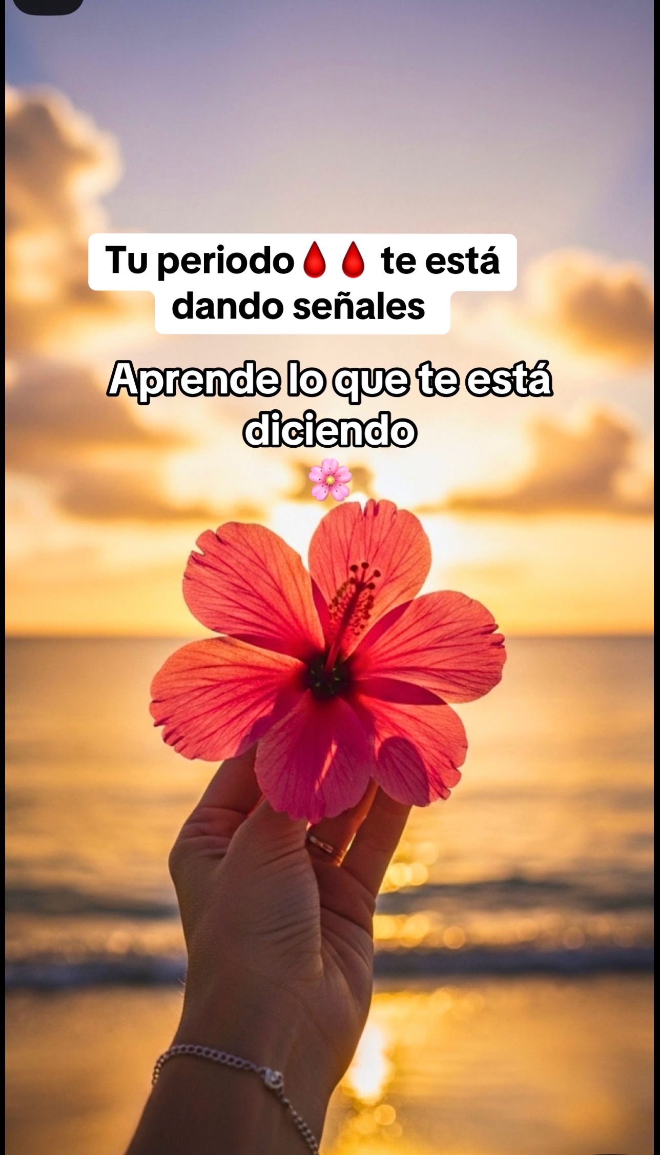 @🌸Emperatriz 🌸