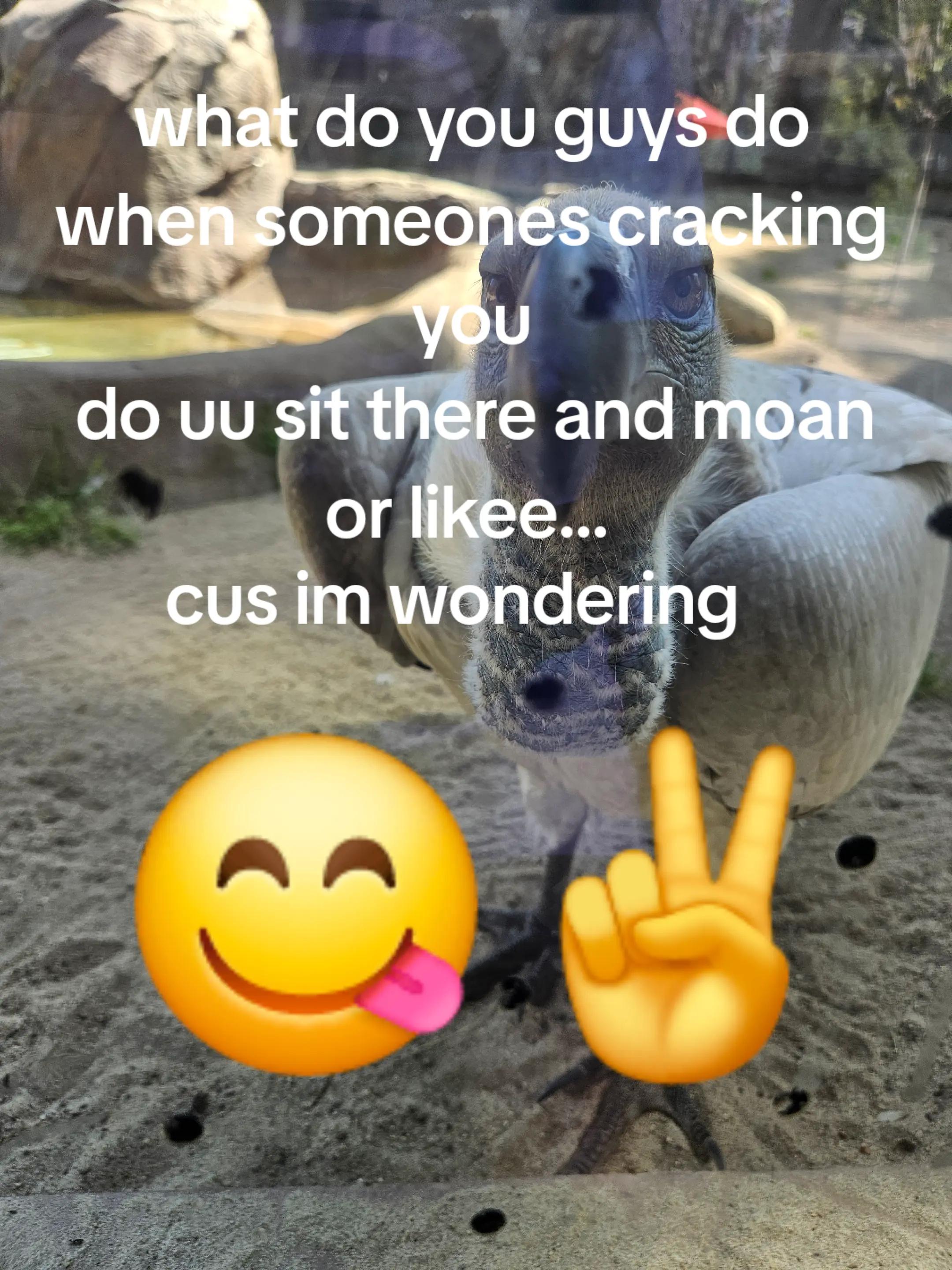 @wh2spers