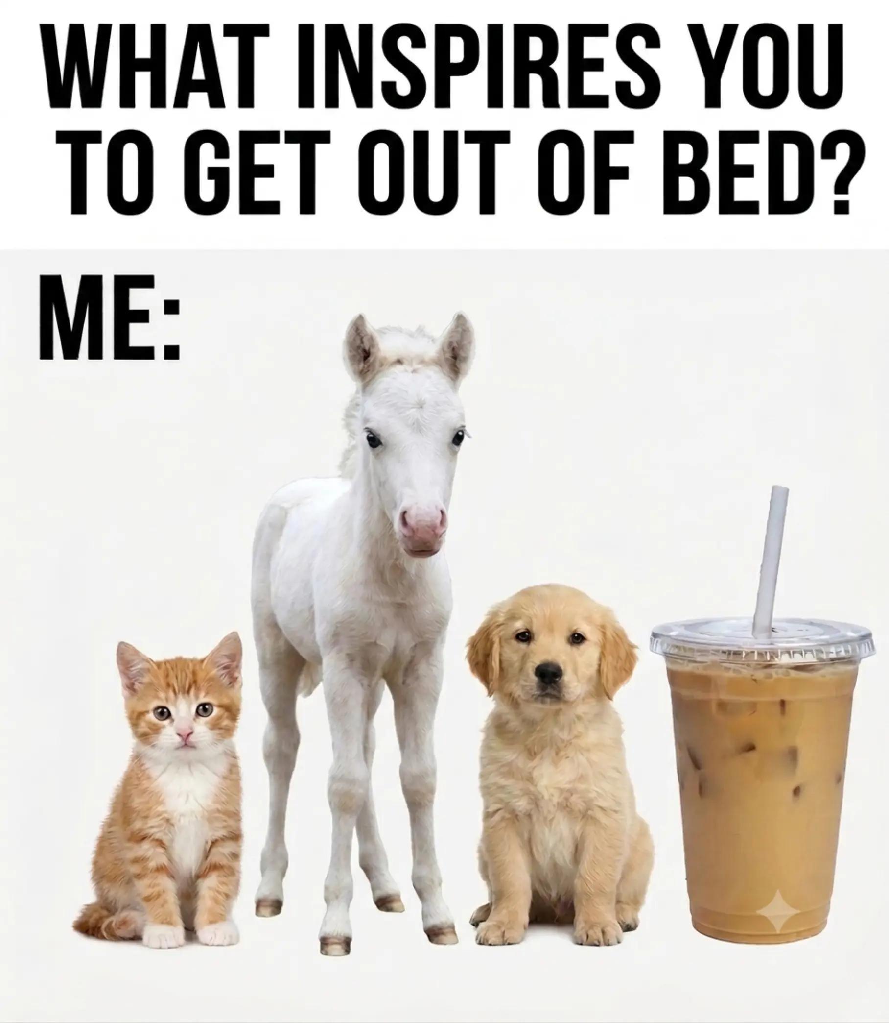 @streamhorse