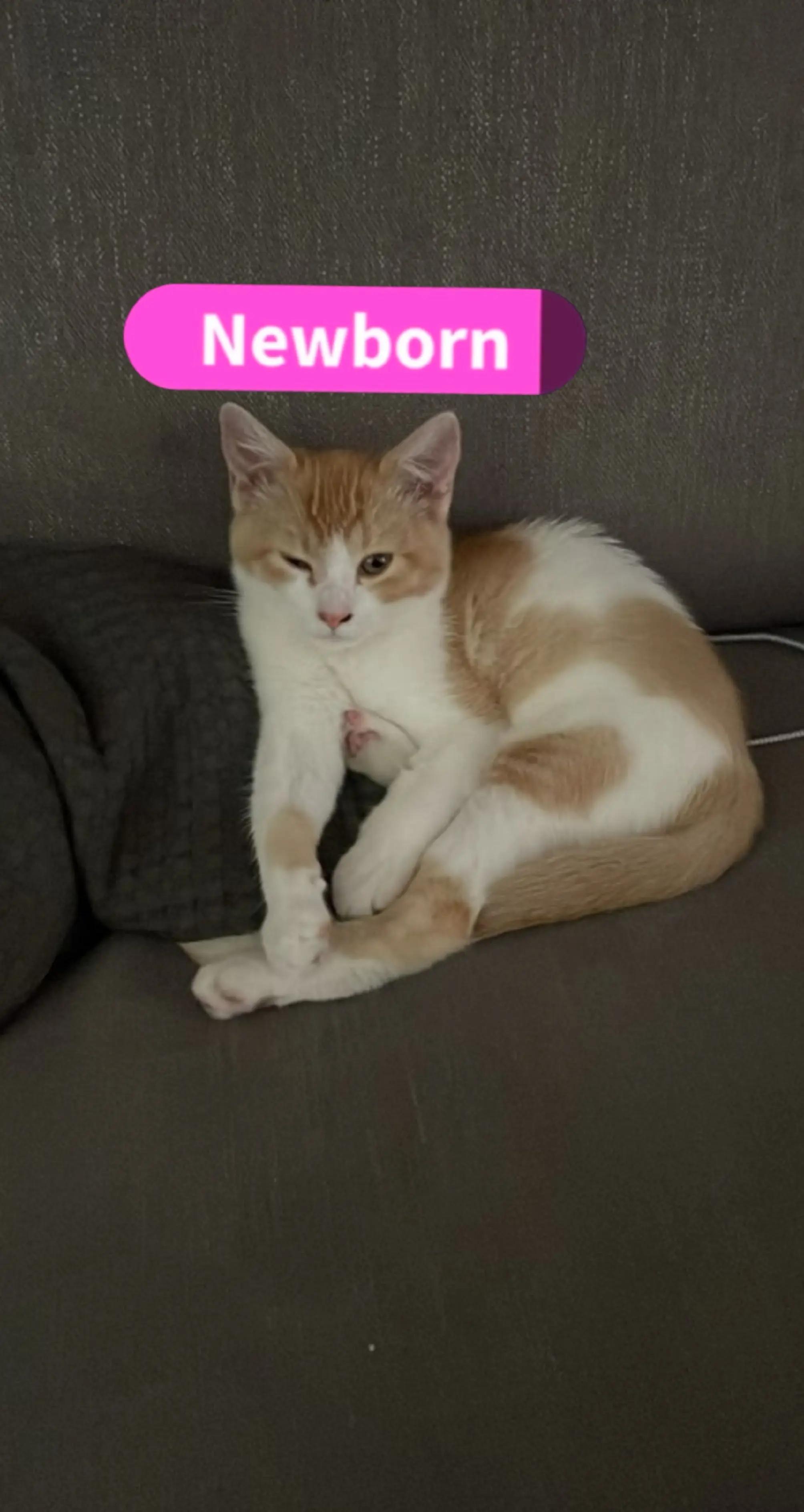 @simonsecretspam🤫🤫