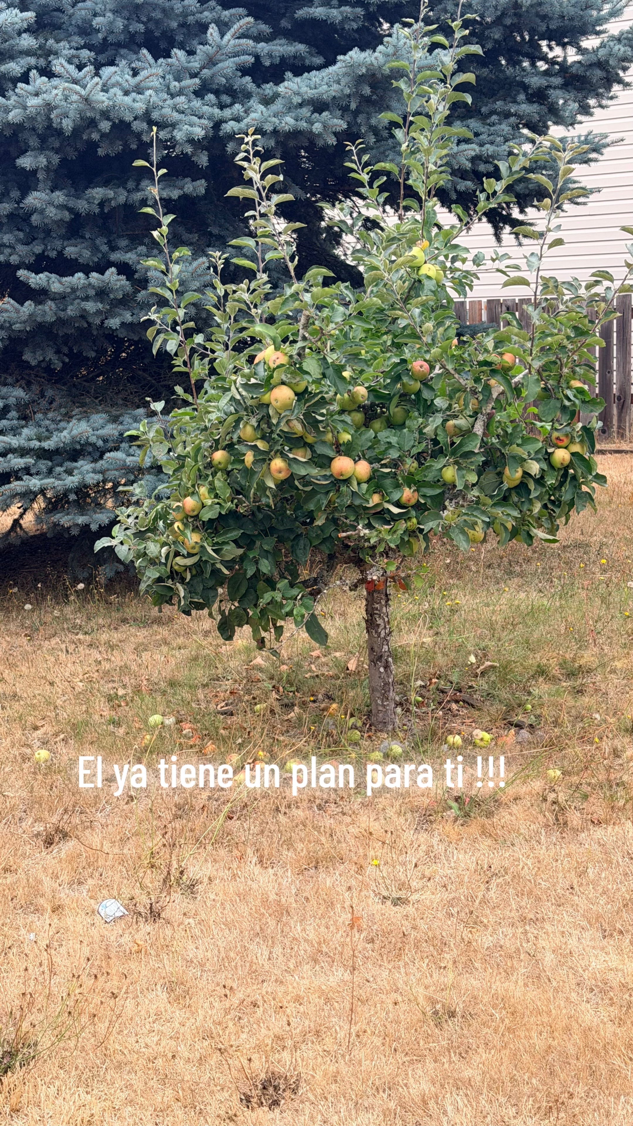 @EJ Llaverias