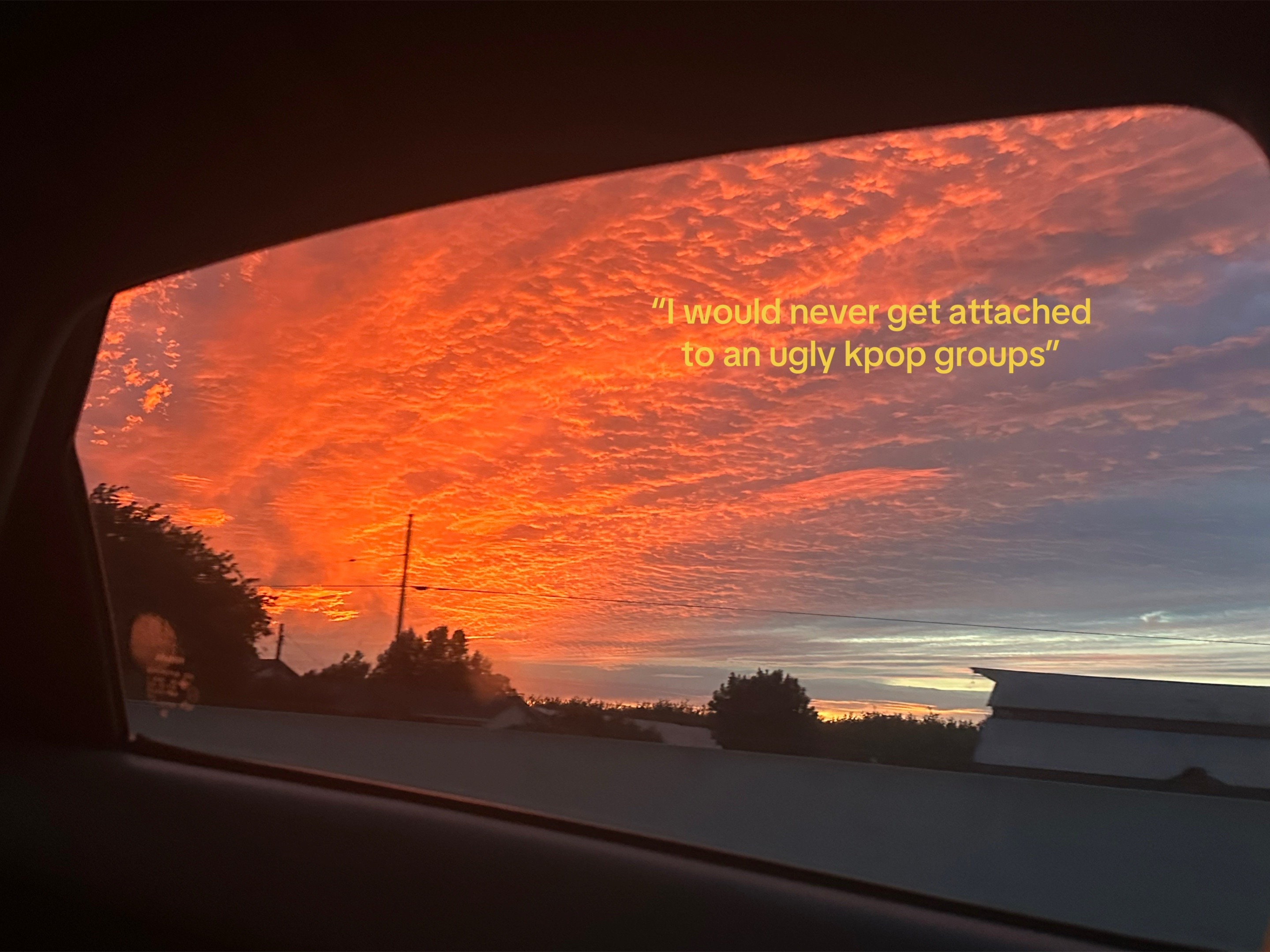 @˚₊‧꒰ა 𝒜𝓃𝑔ℯ𝓁 ໒꒱ ‧₊˚