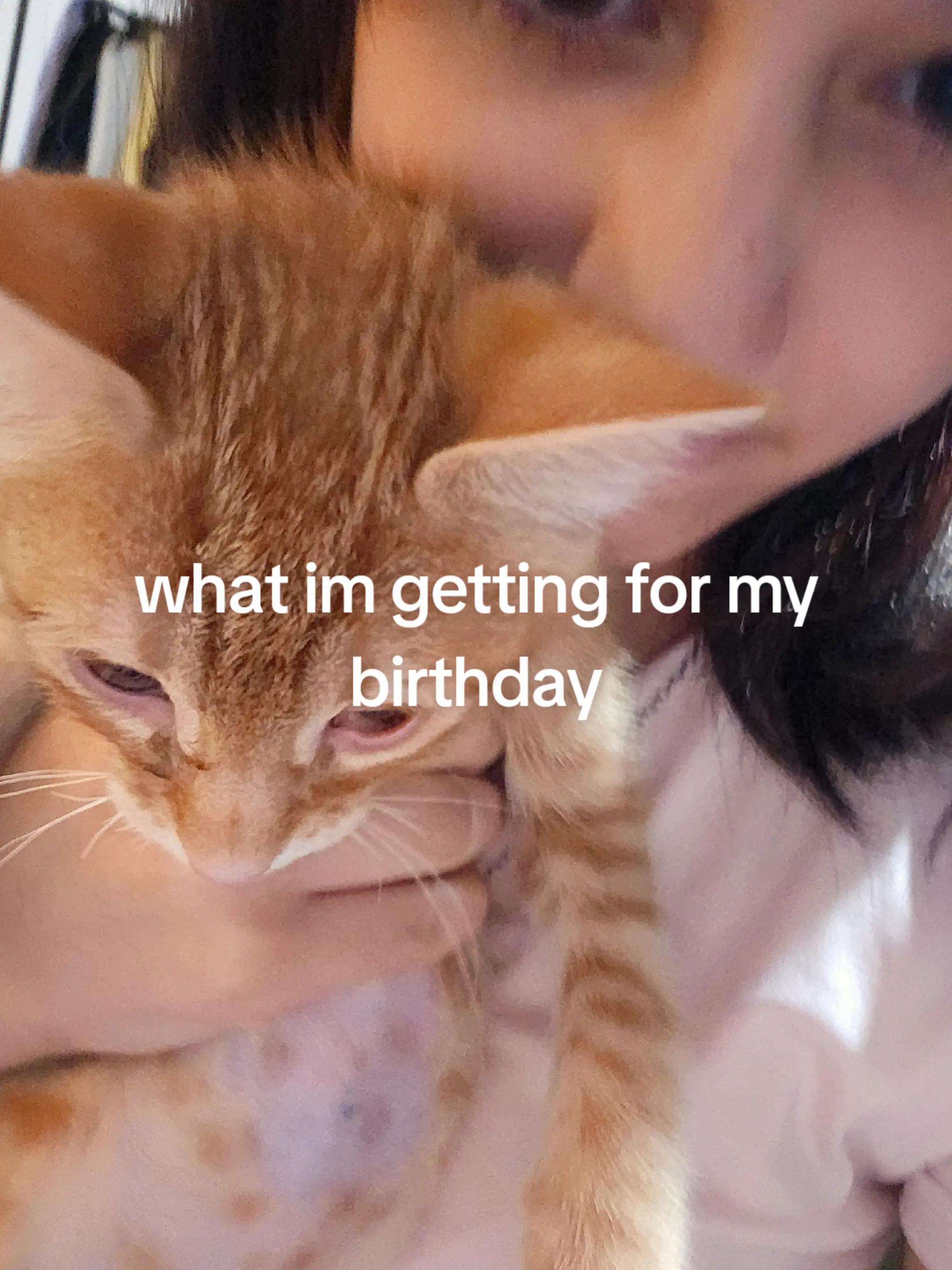 @🙈